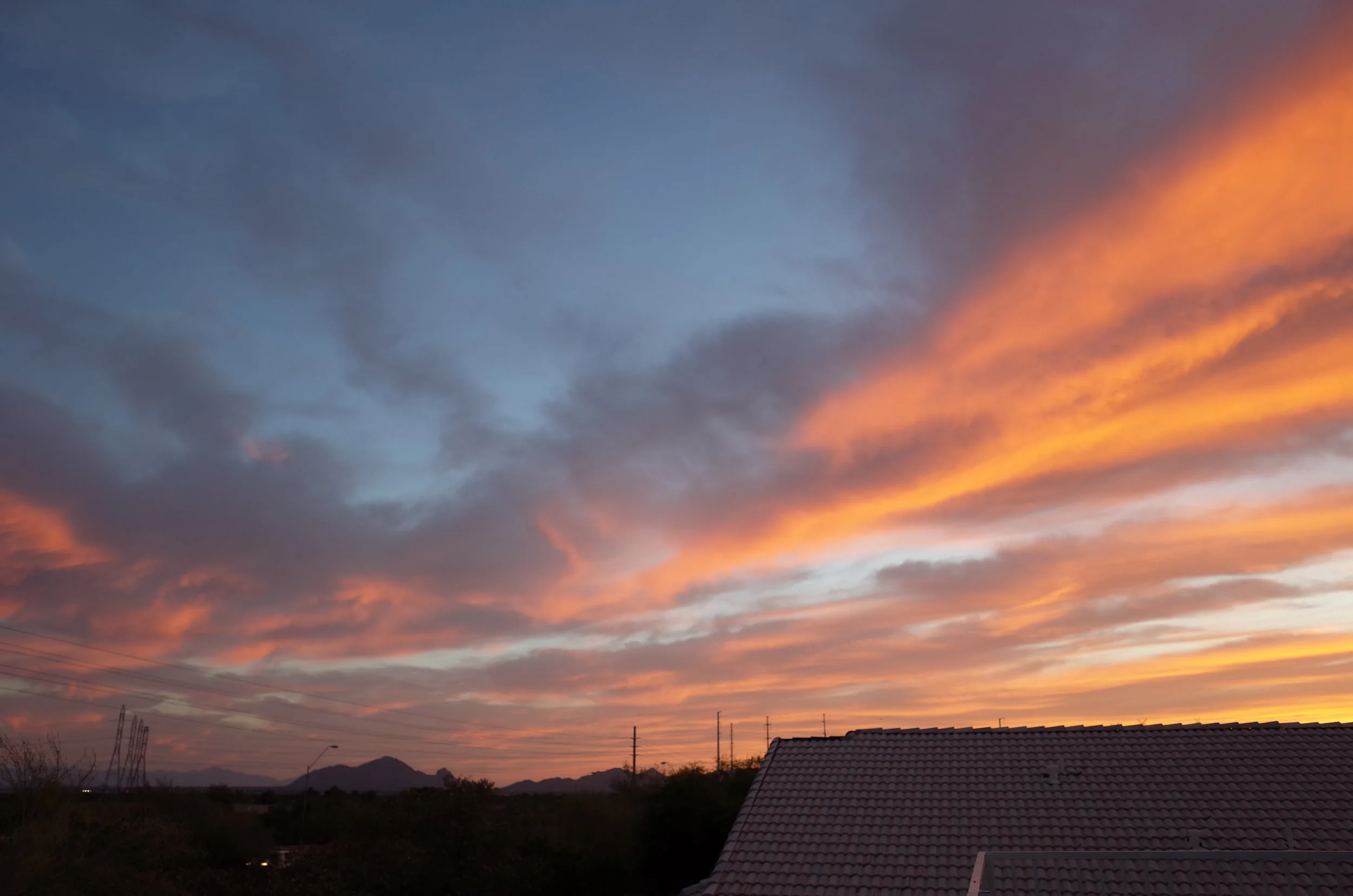R0002995.JPG