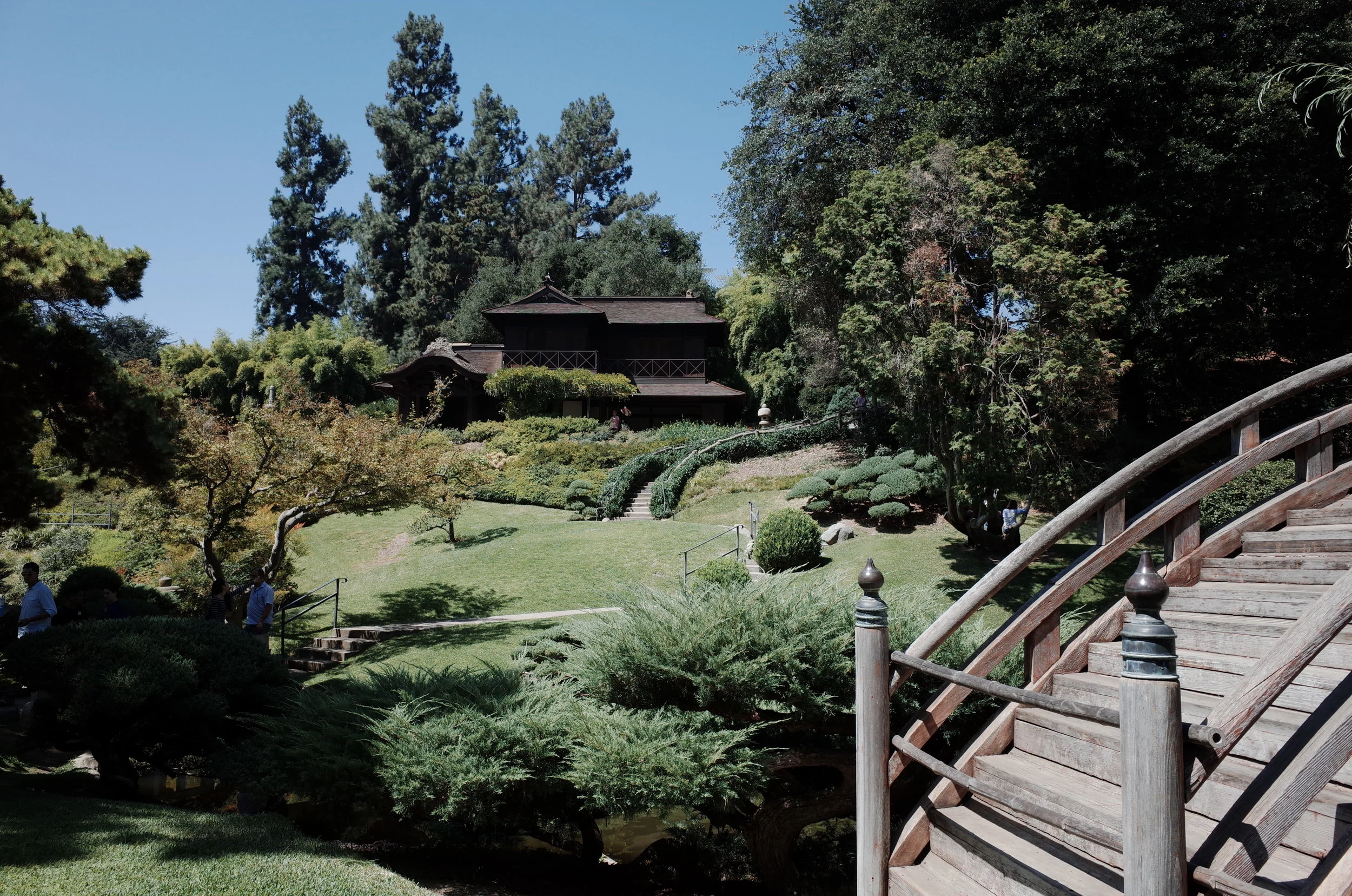 R0010278.JPG