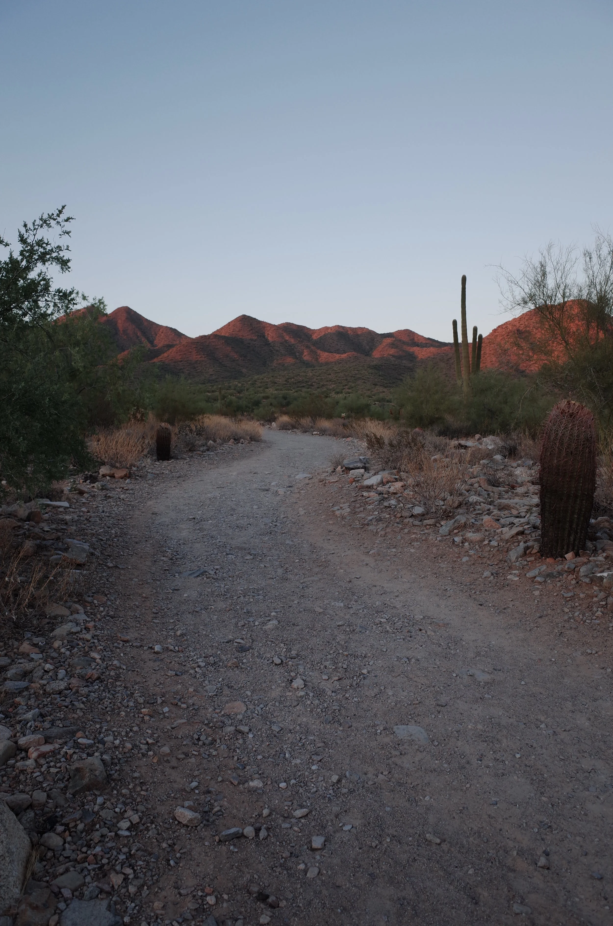 R0011516.JPG