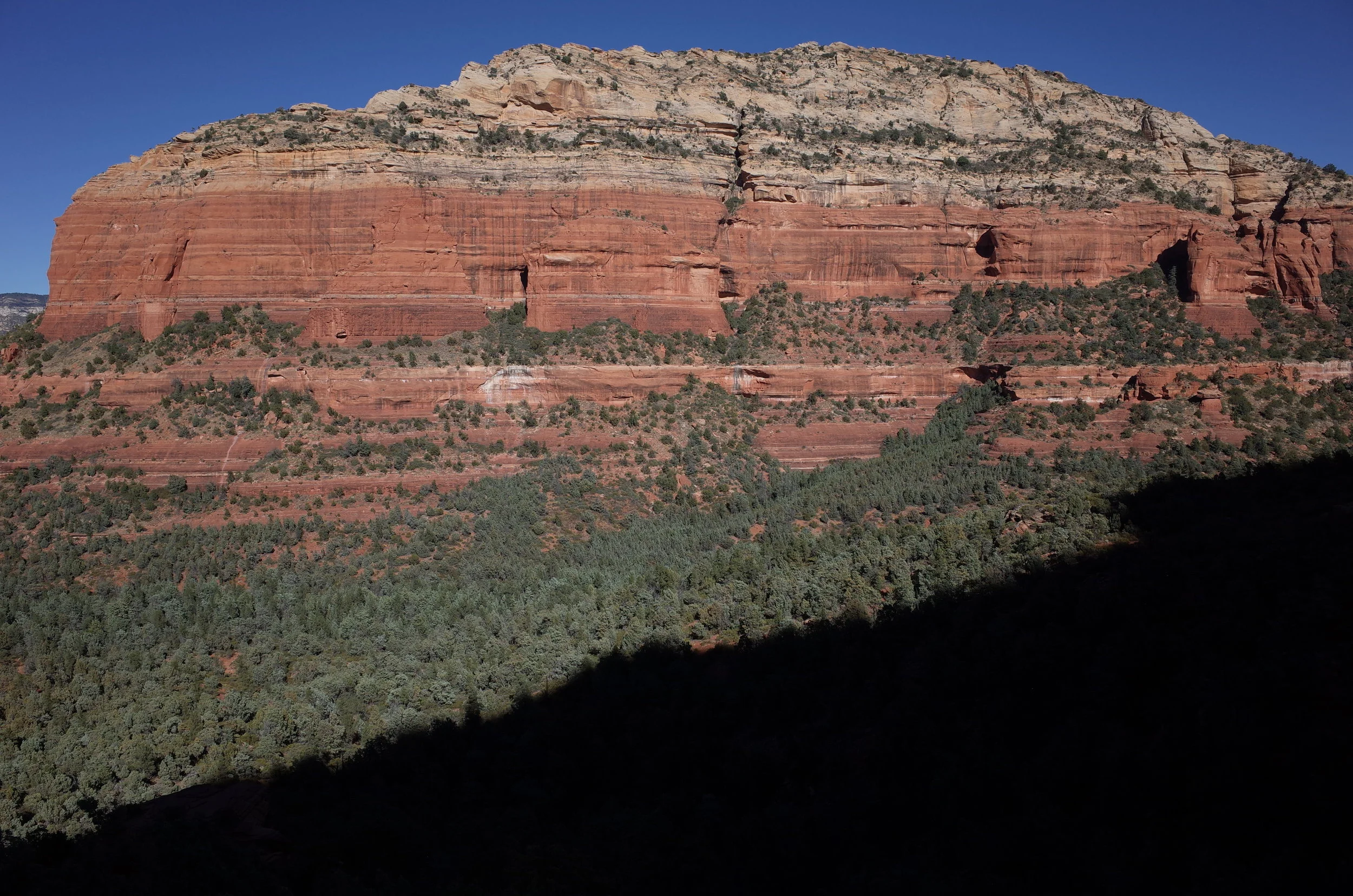 R0016513.JPG
