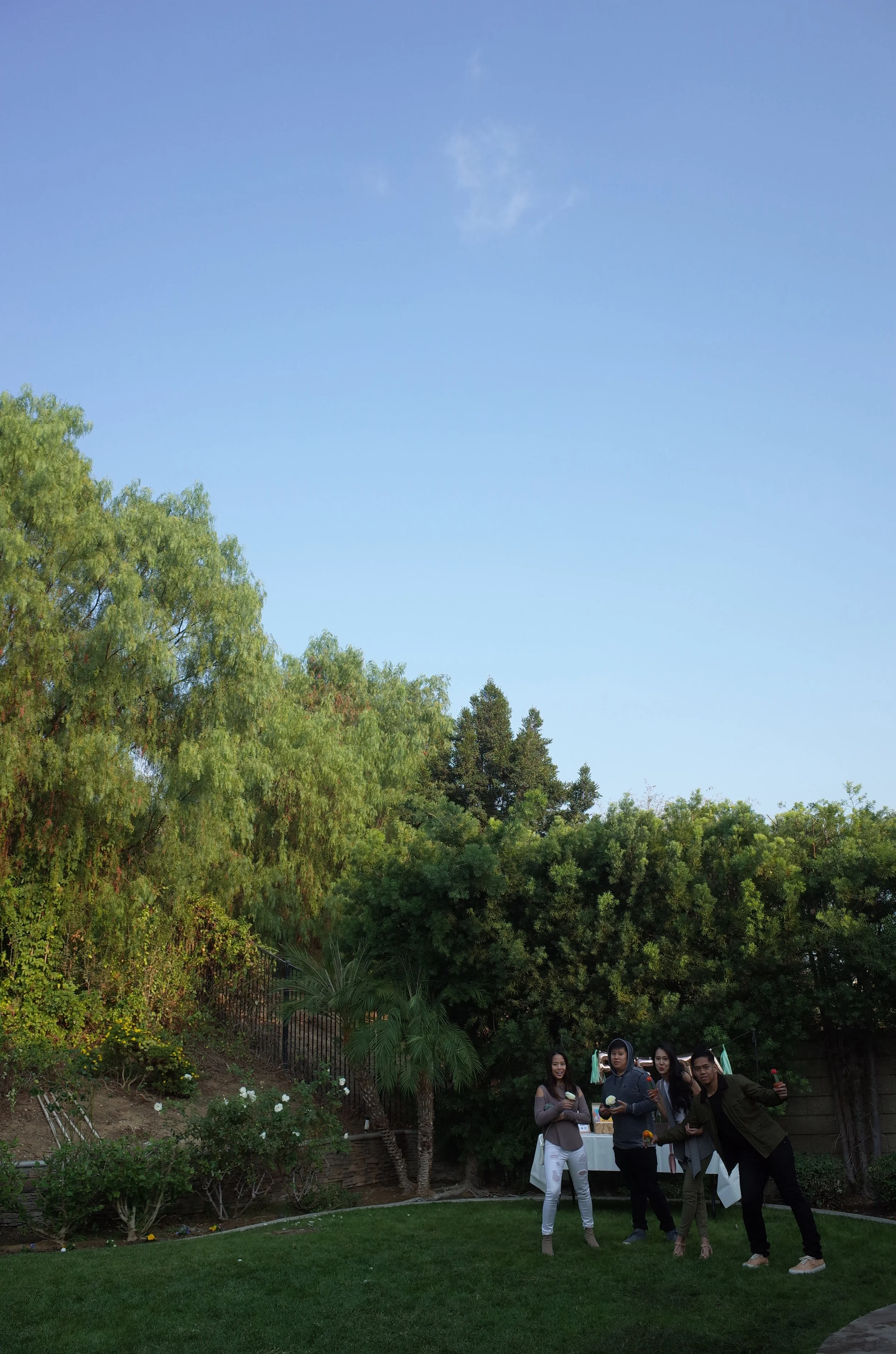 R0000270.JPG