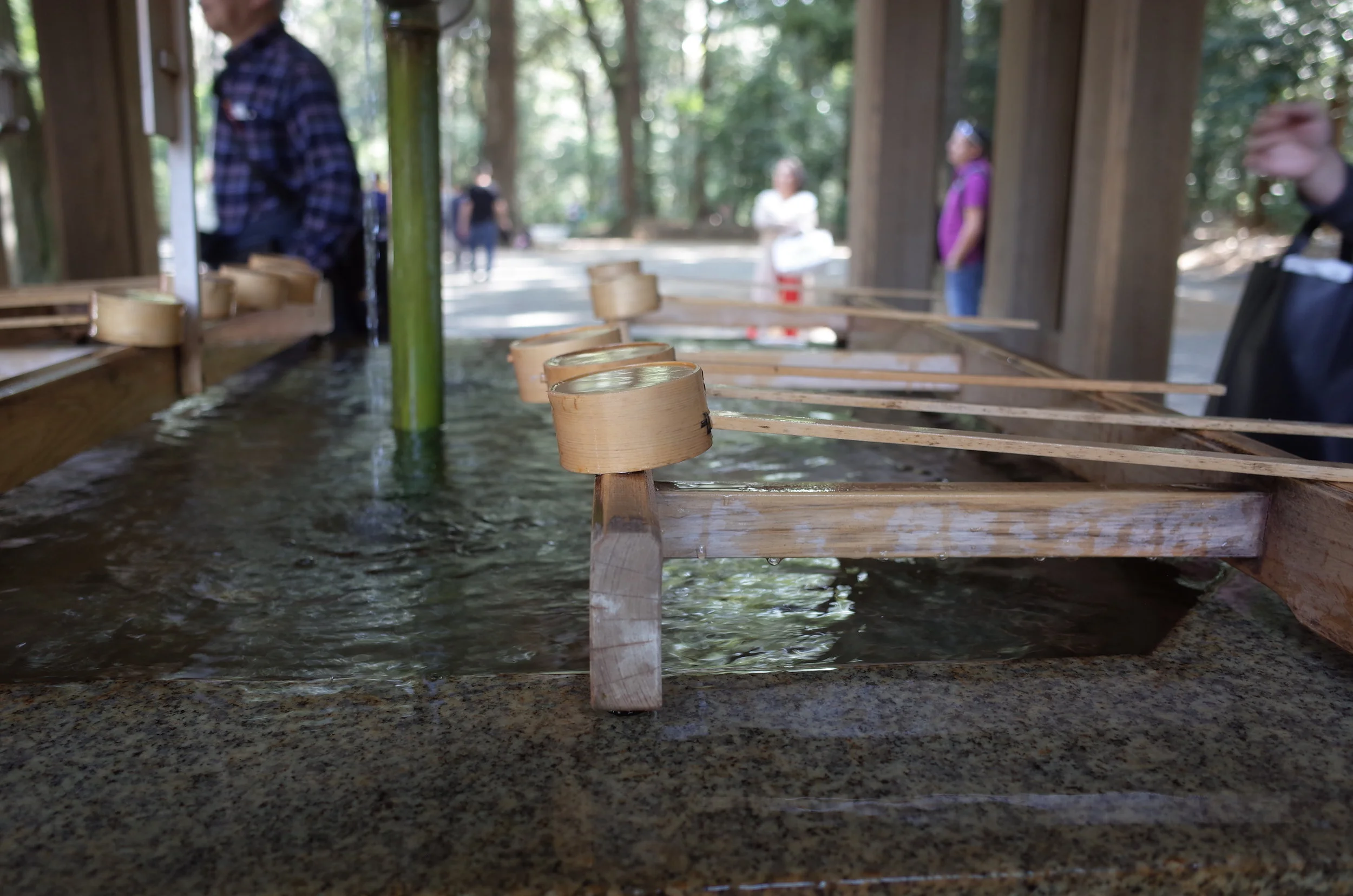 R0000902.JPG