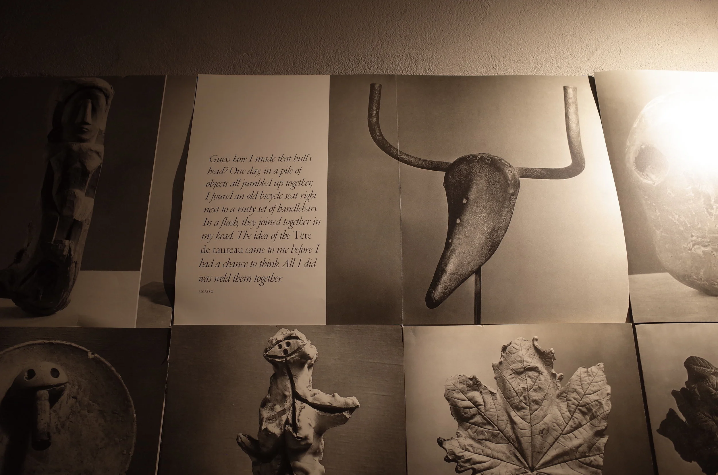R0003253.JPG