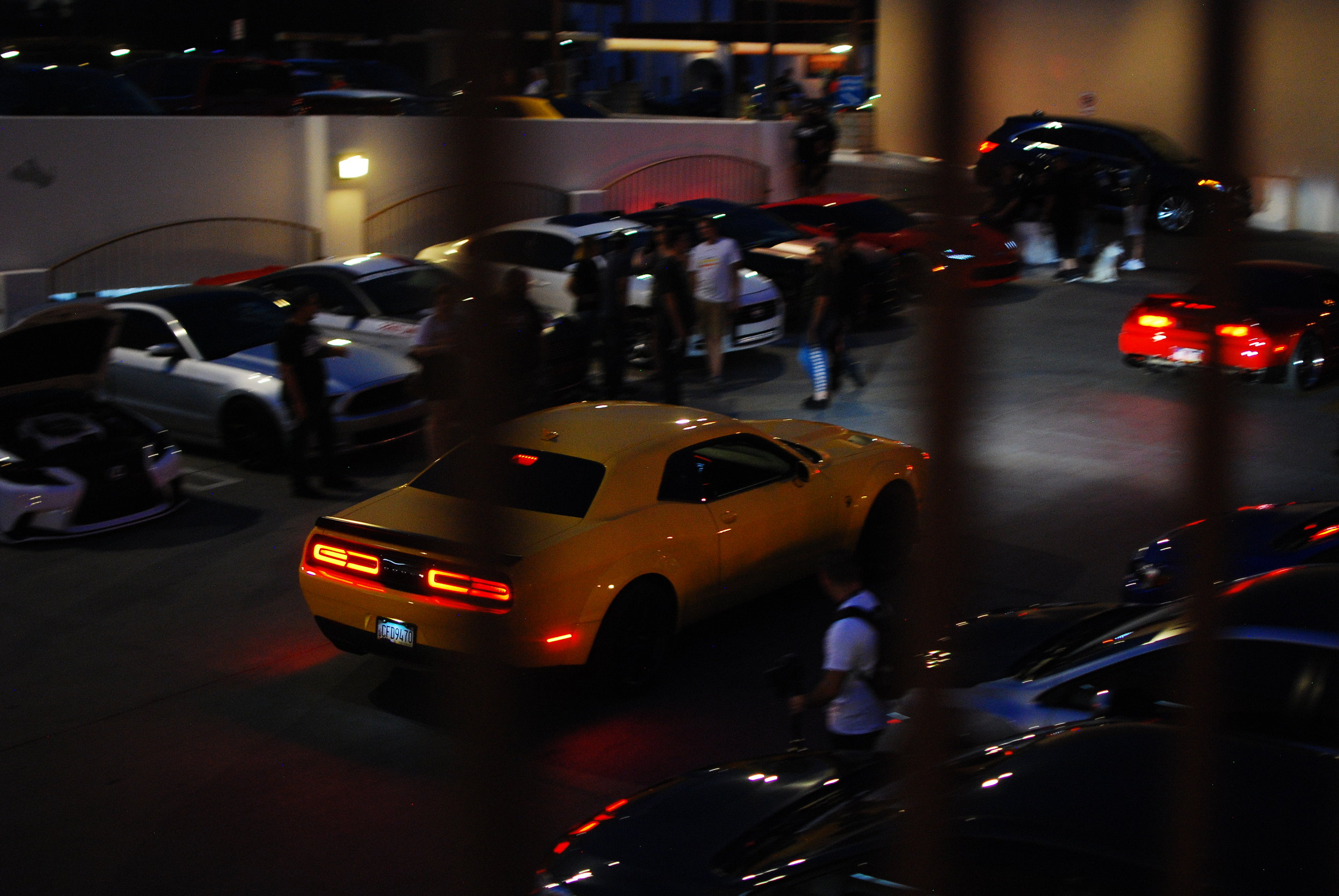 DSC_0394.JPG