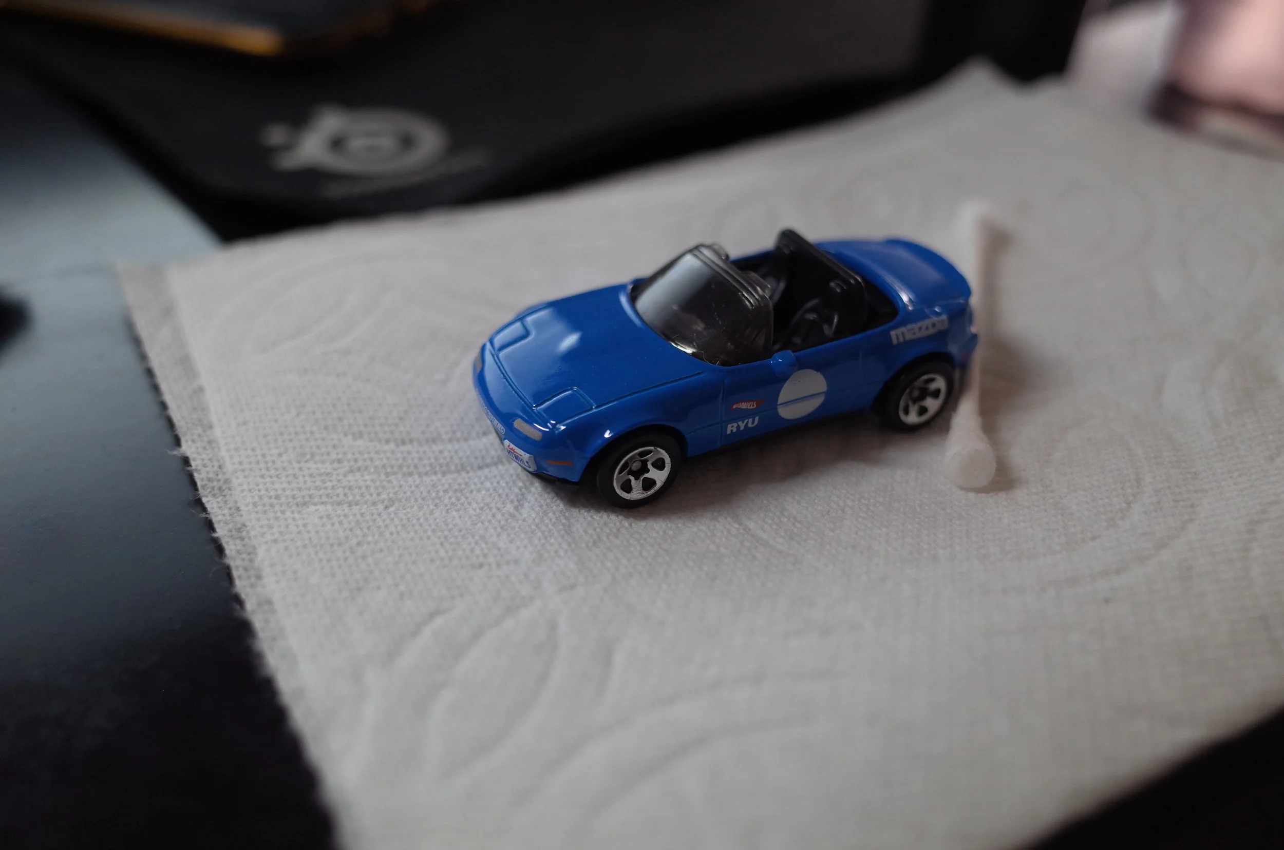 Q0010003.JPG