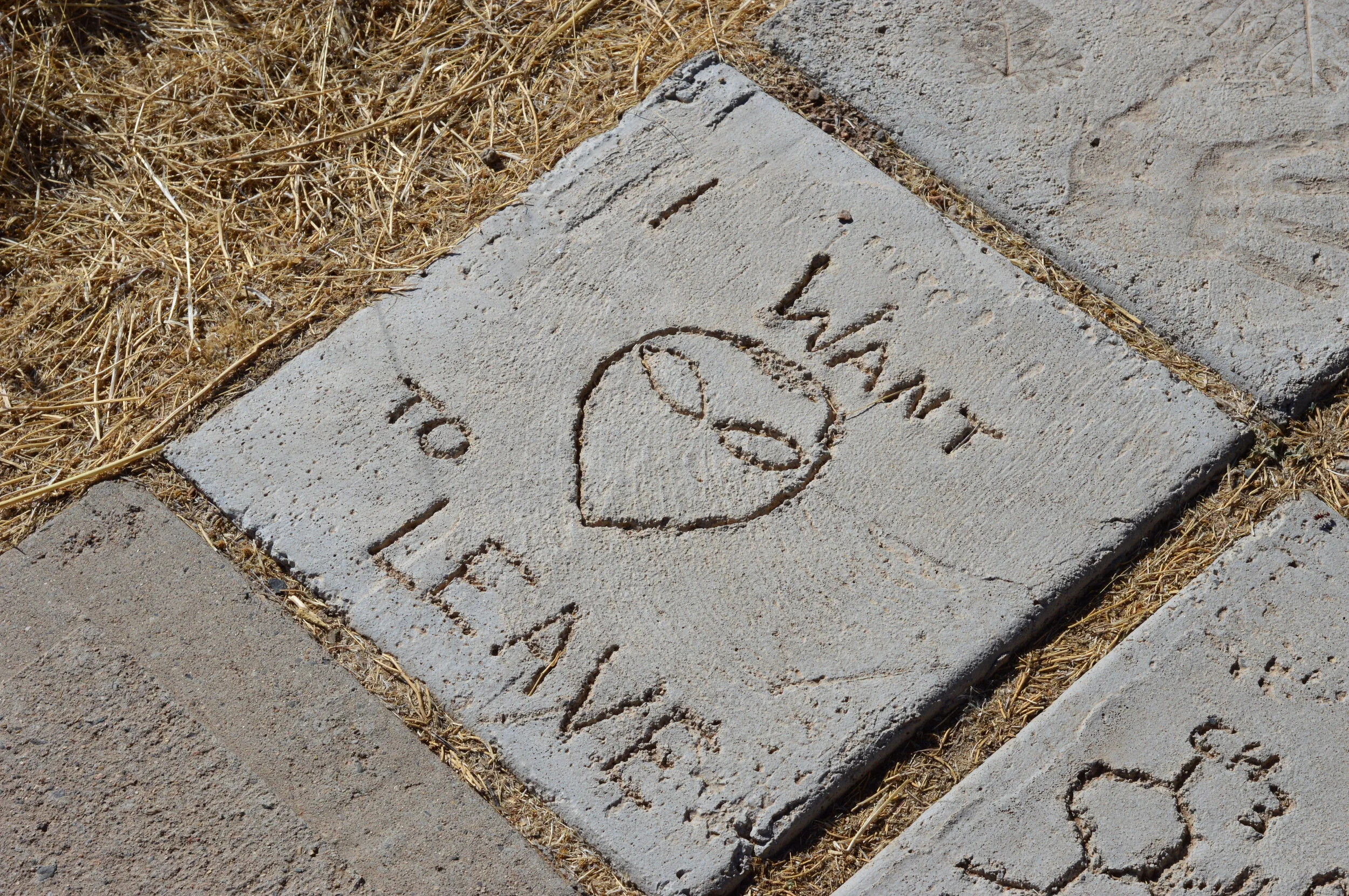 DSC_0105.JPG