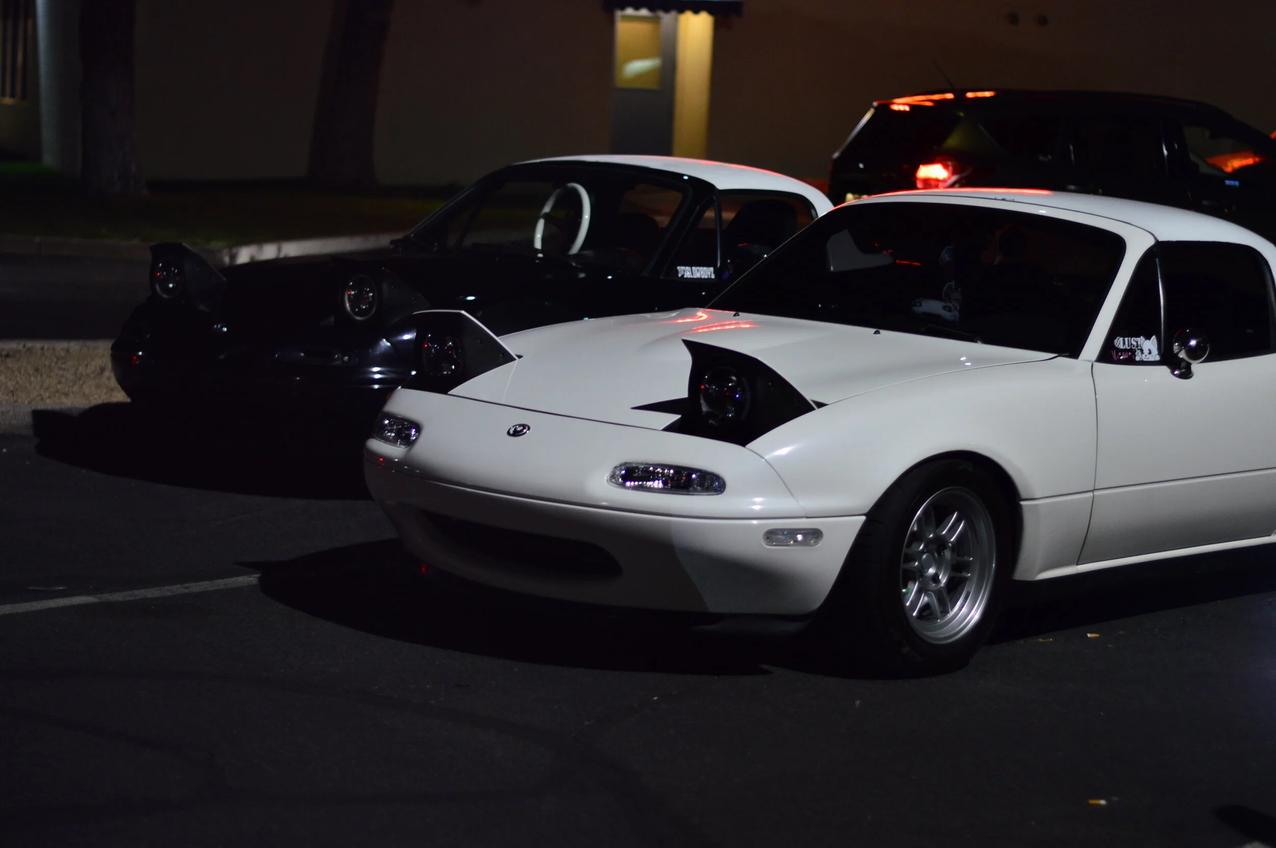 DSC_1697.JPG