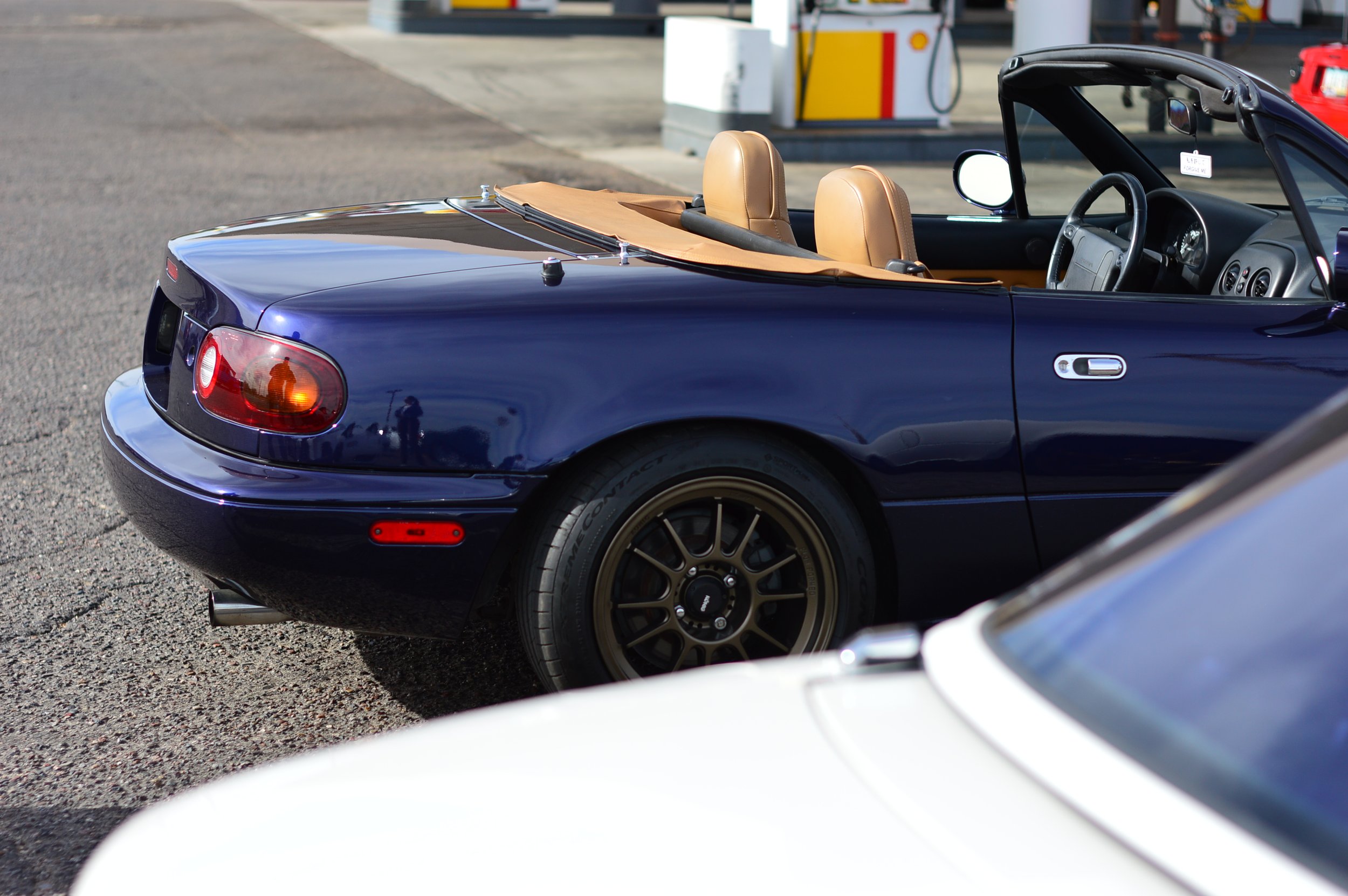 DSC_0313.JPG