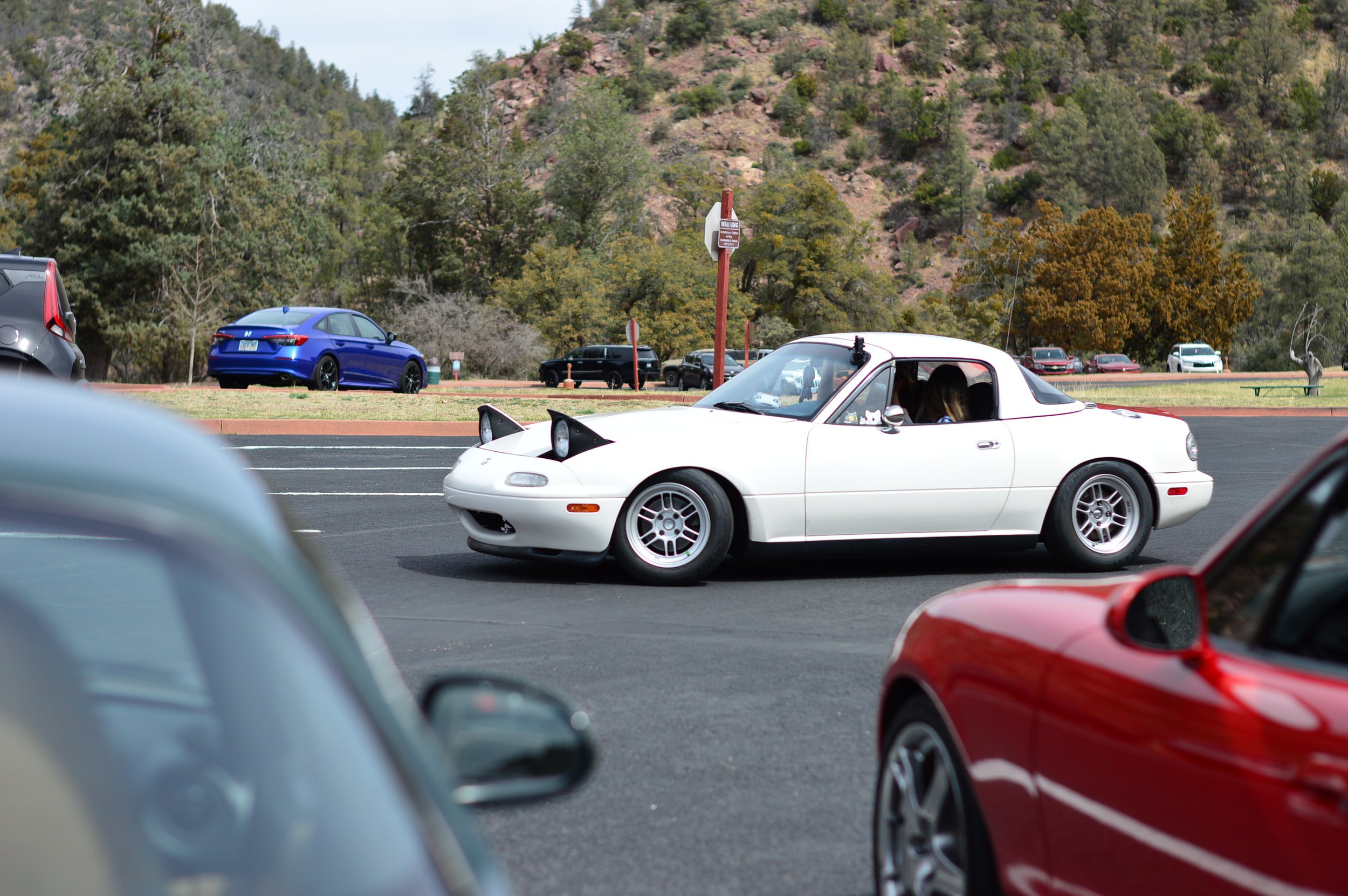 DSC_0536.JPG