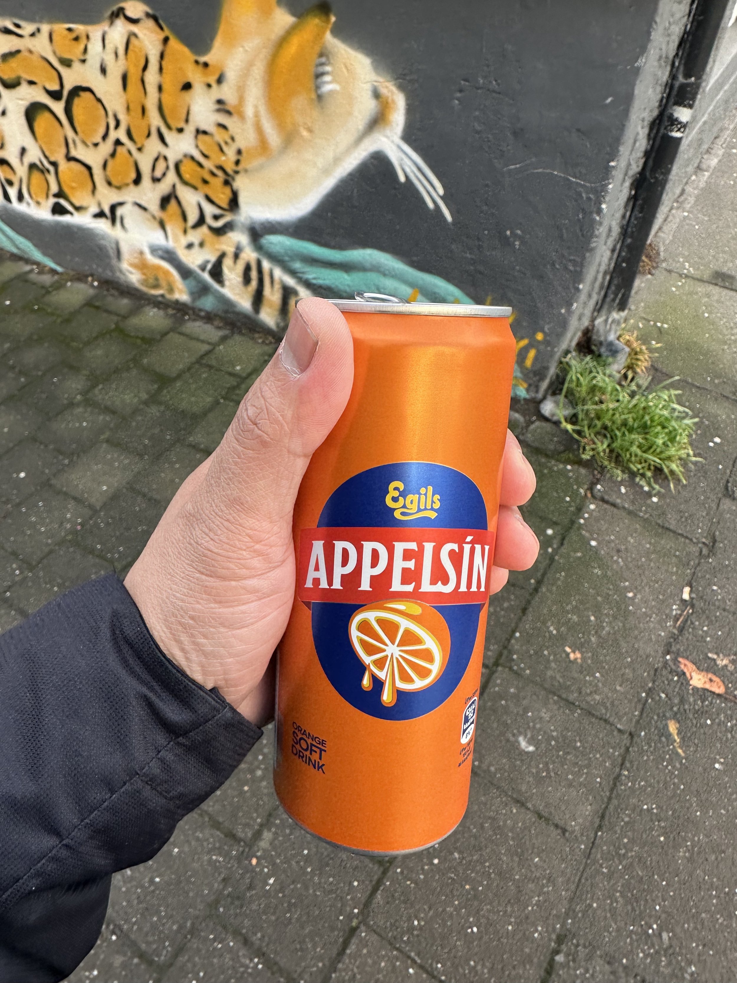 IMG_3951.jpeg