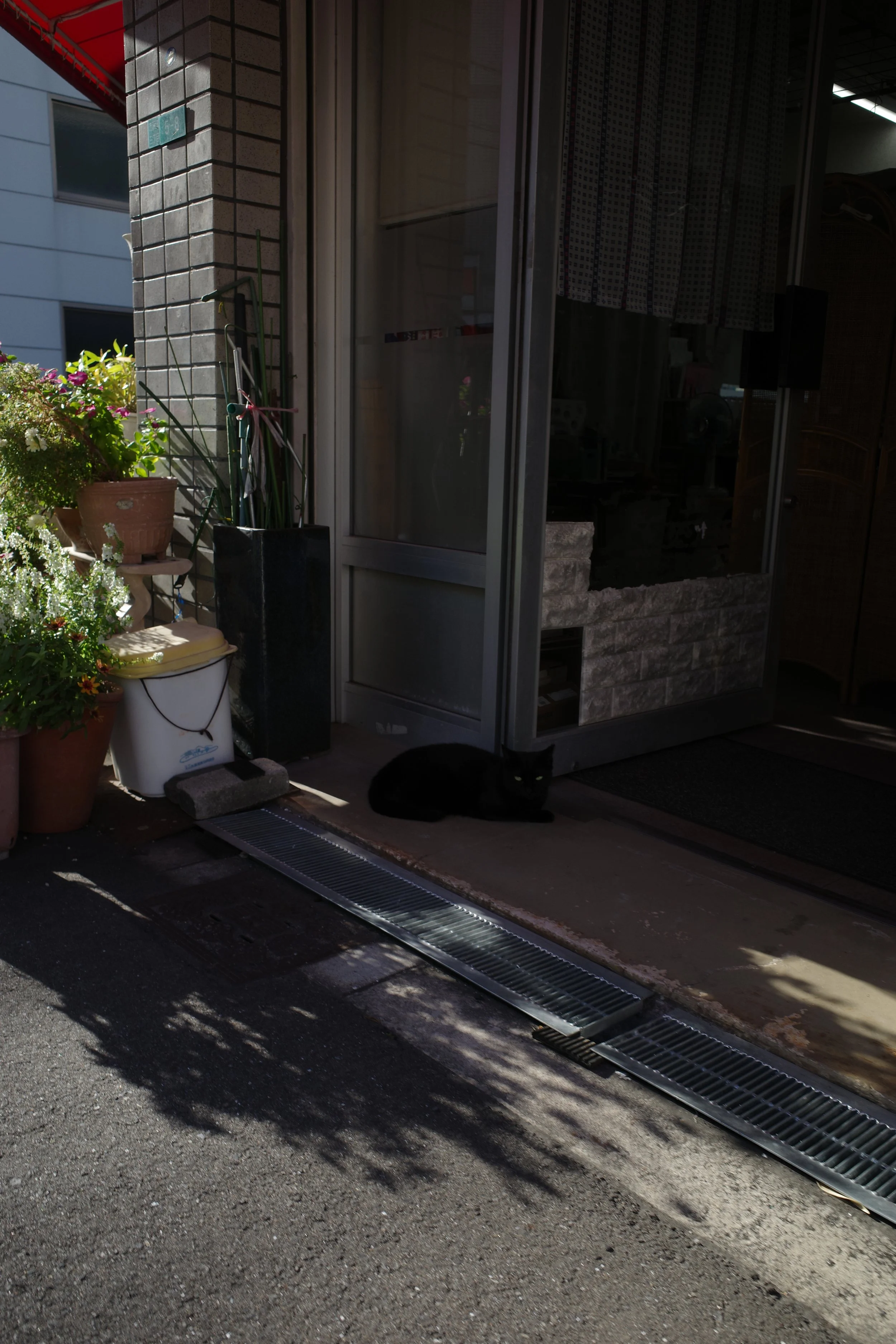 R0003488.JPG