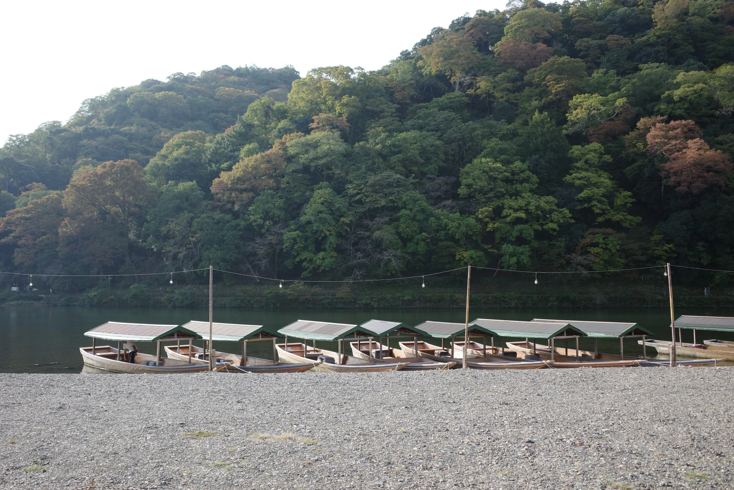 R0003867.JPG