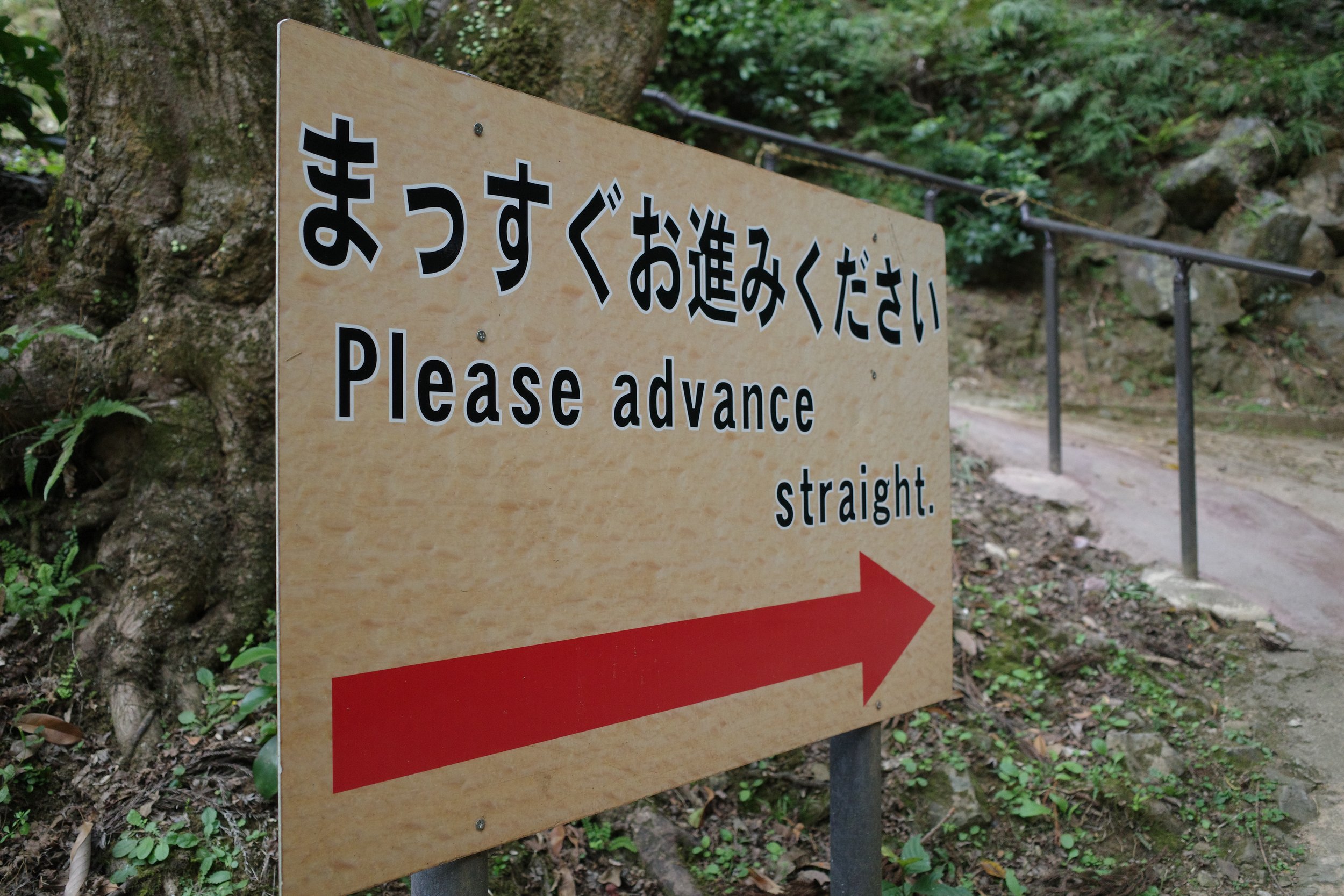R0003878.JPG