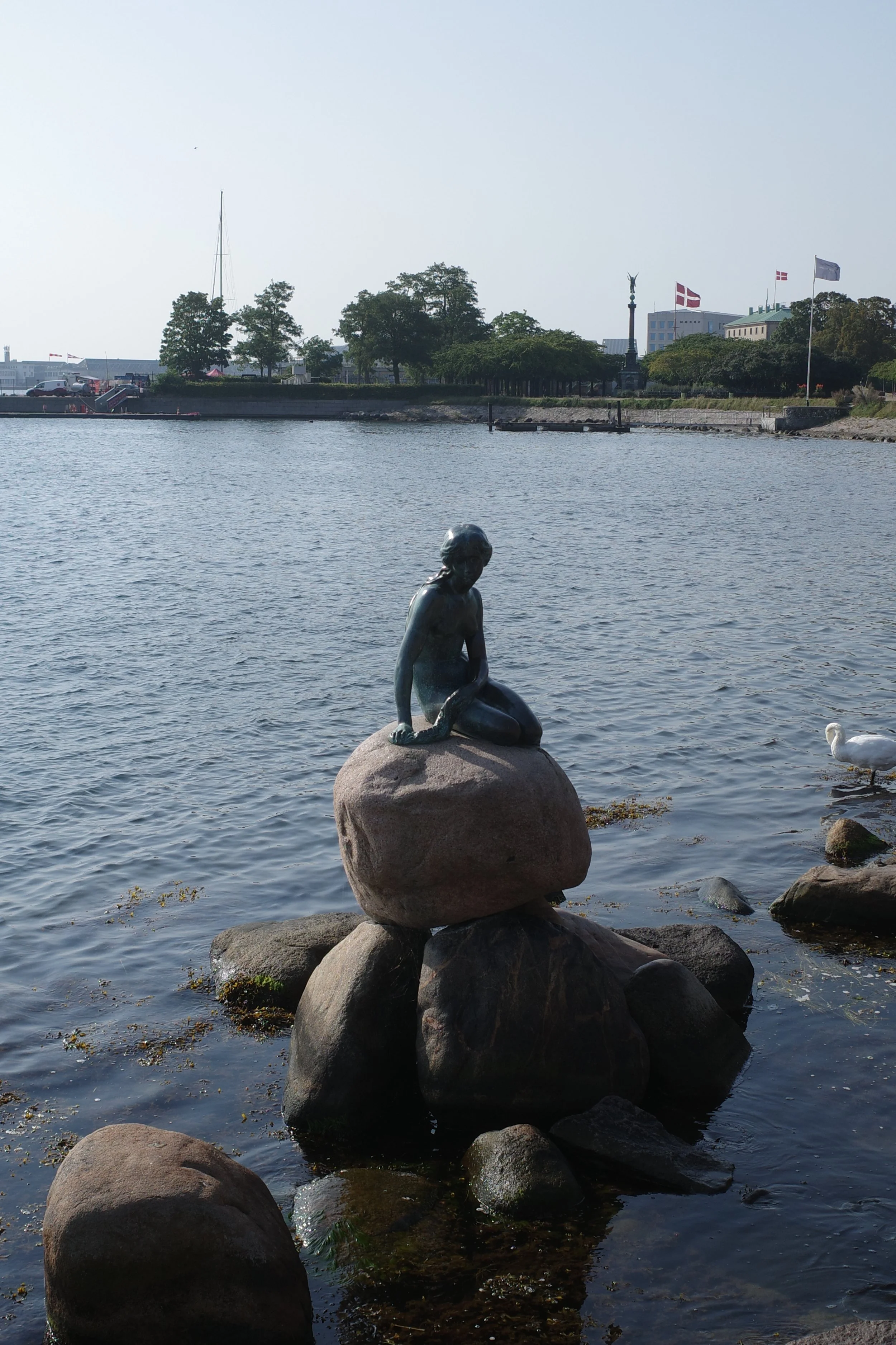 R0008044.JPG
