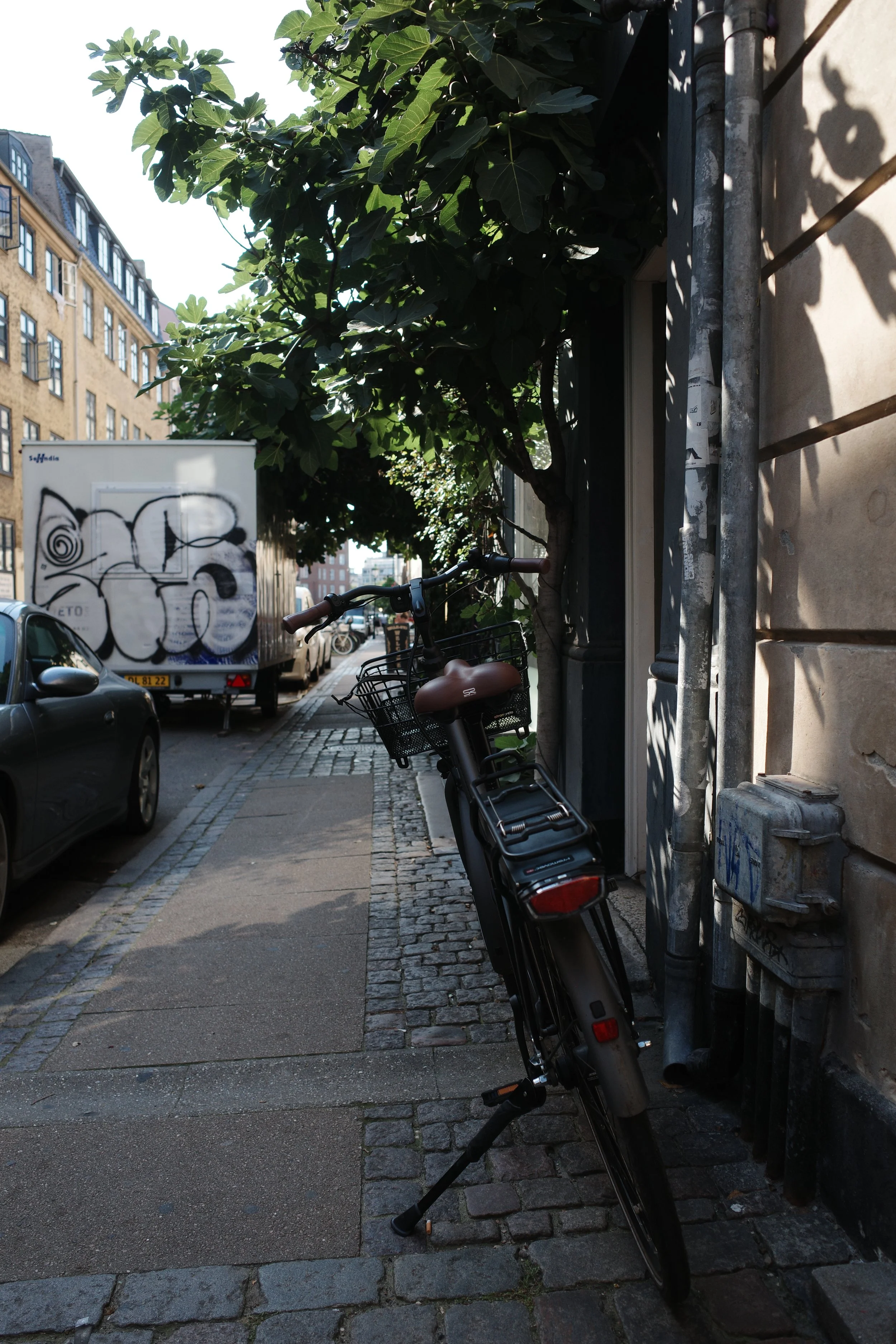 R0008190.JPG