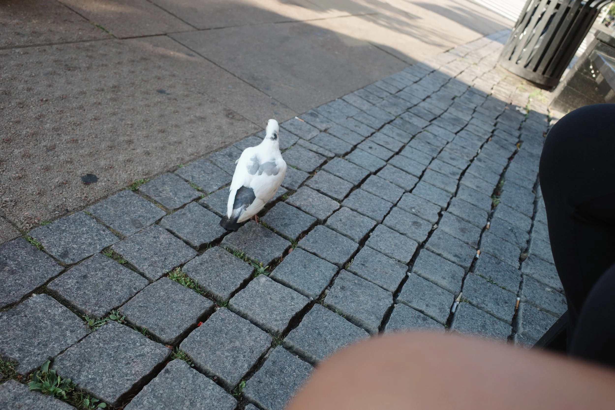 R0008218.JPG