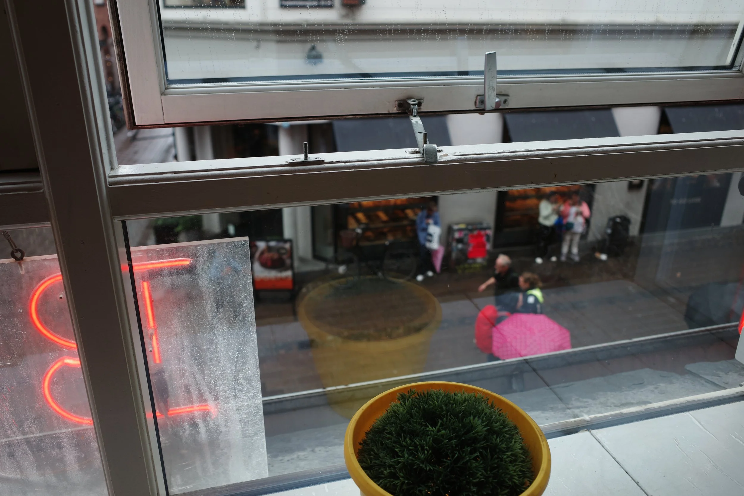 R0008489.JPG