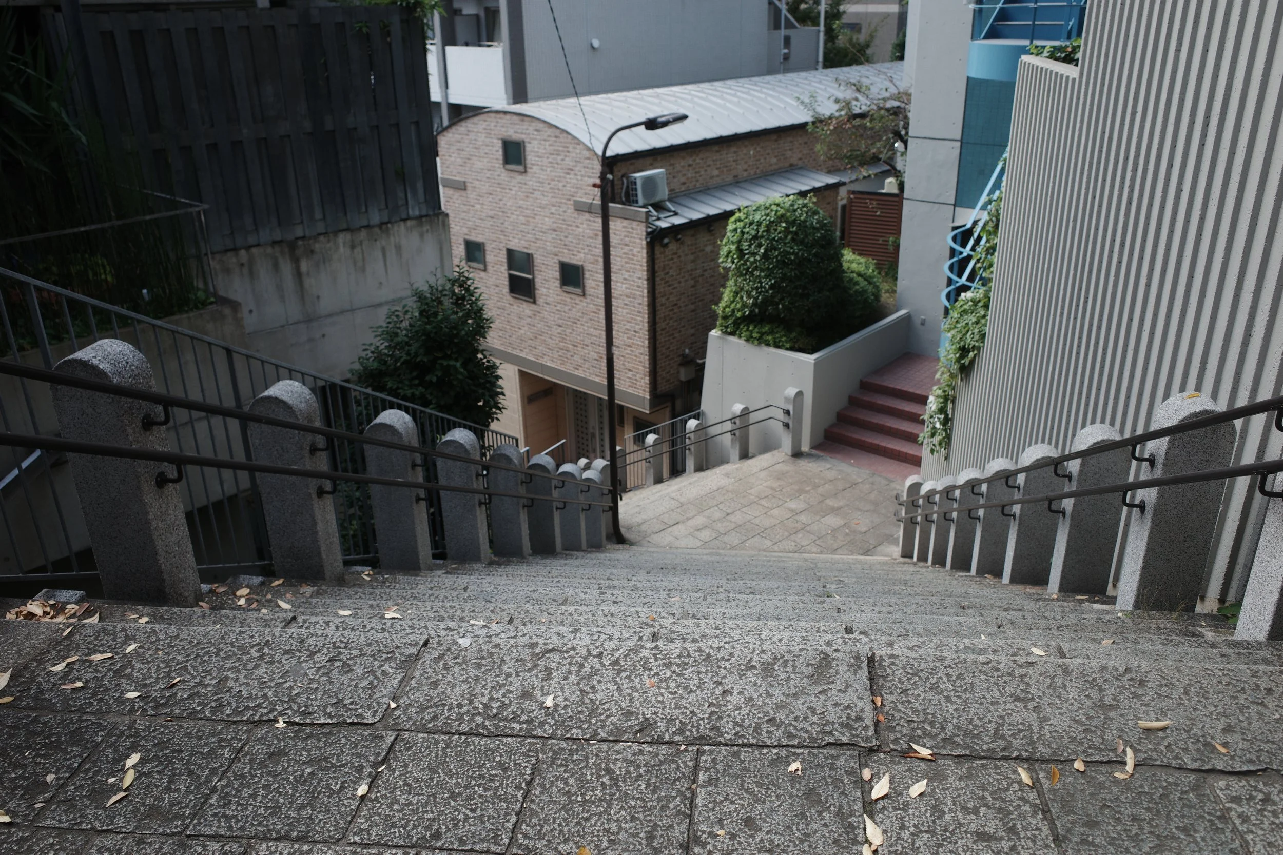R0013755.JPG