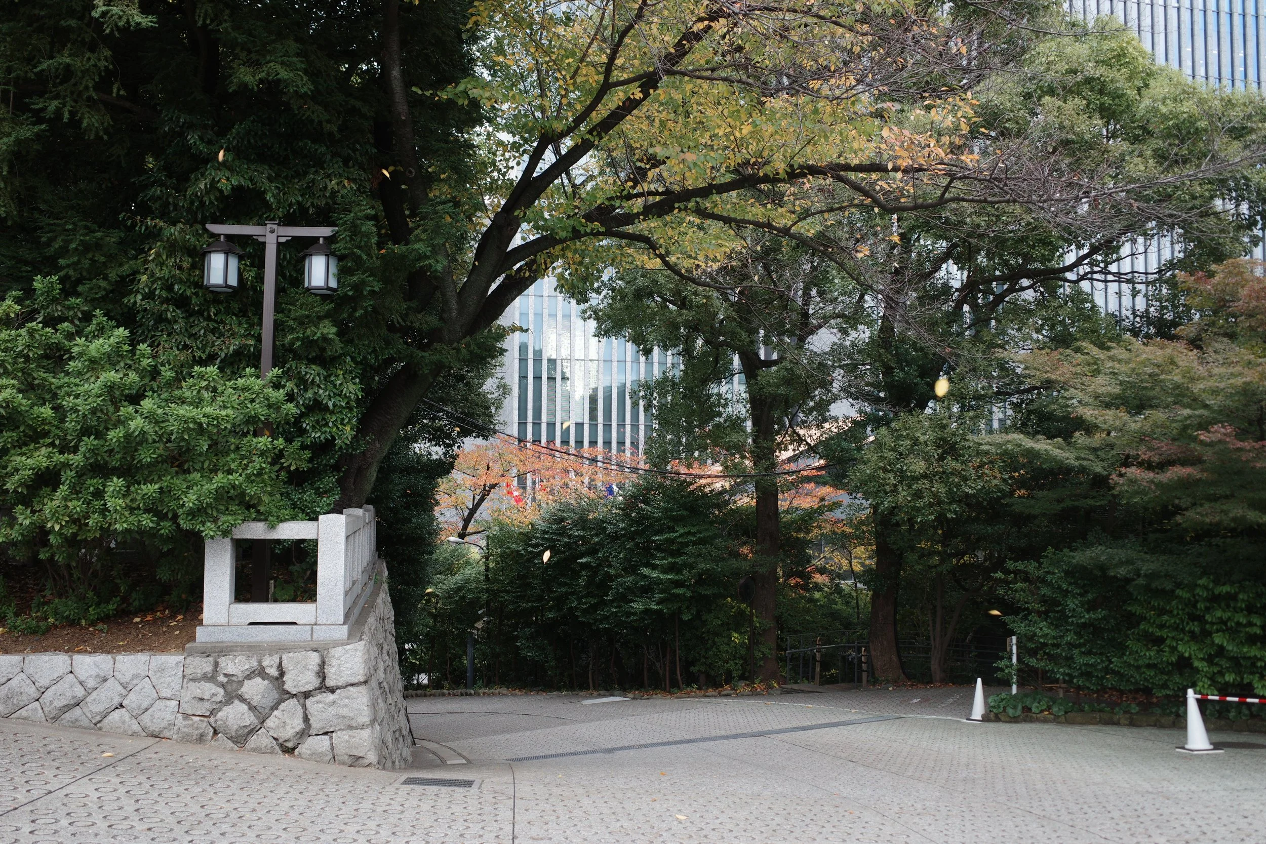 R0014201.JPG