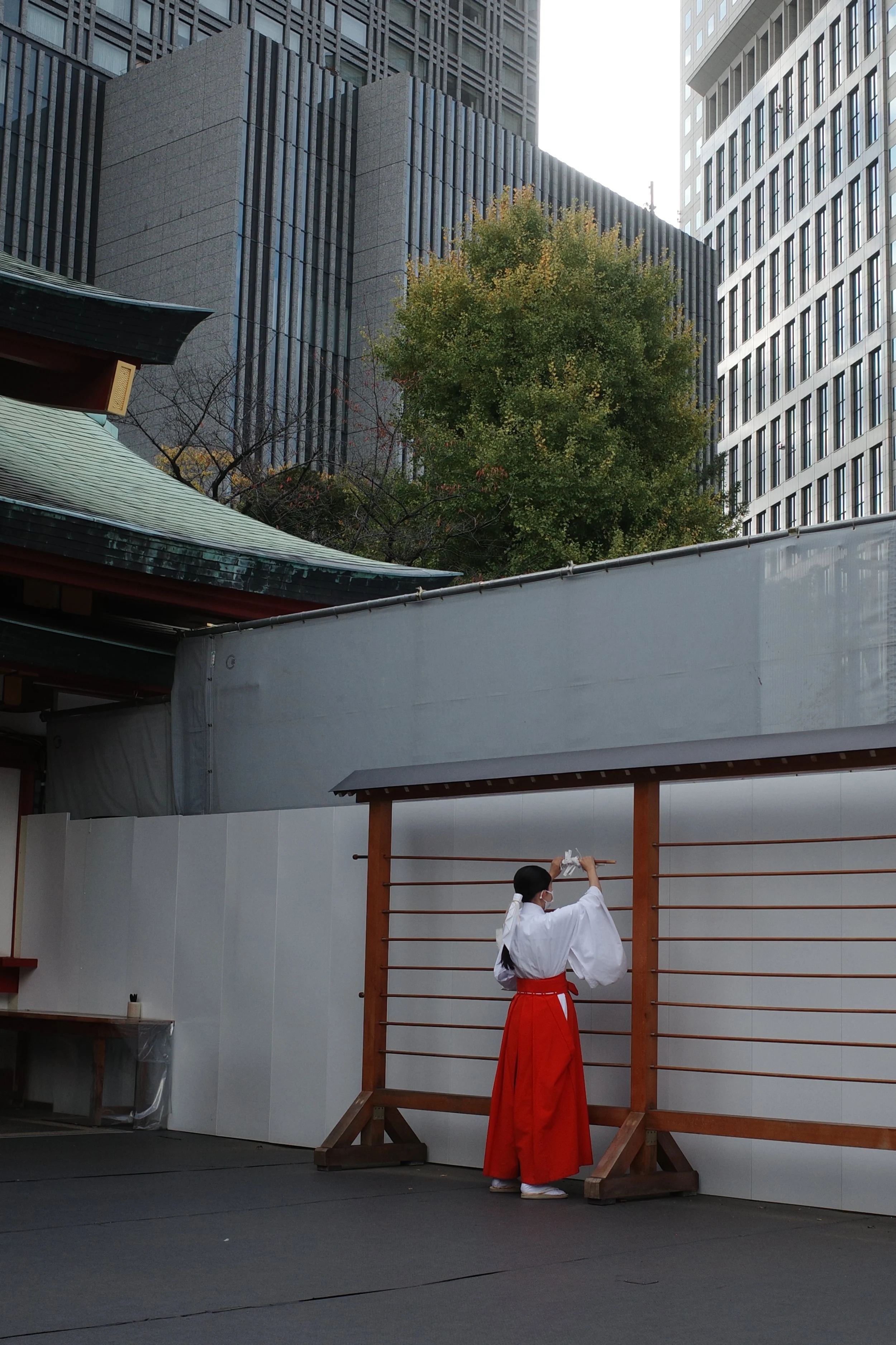 R0014263.JPG