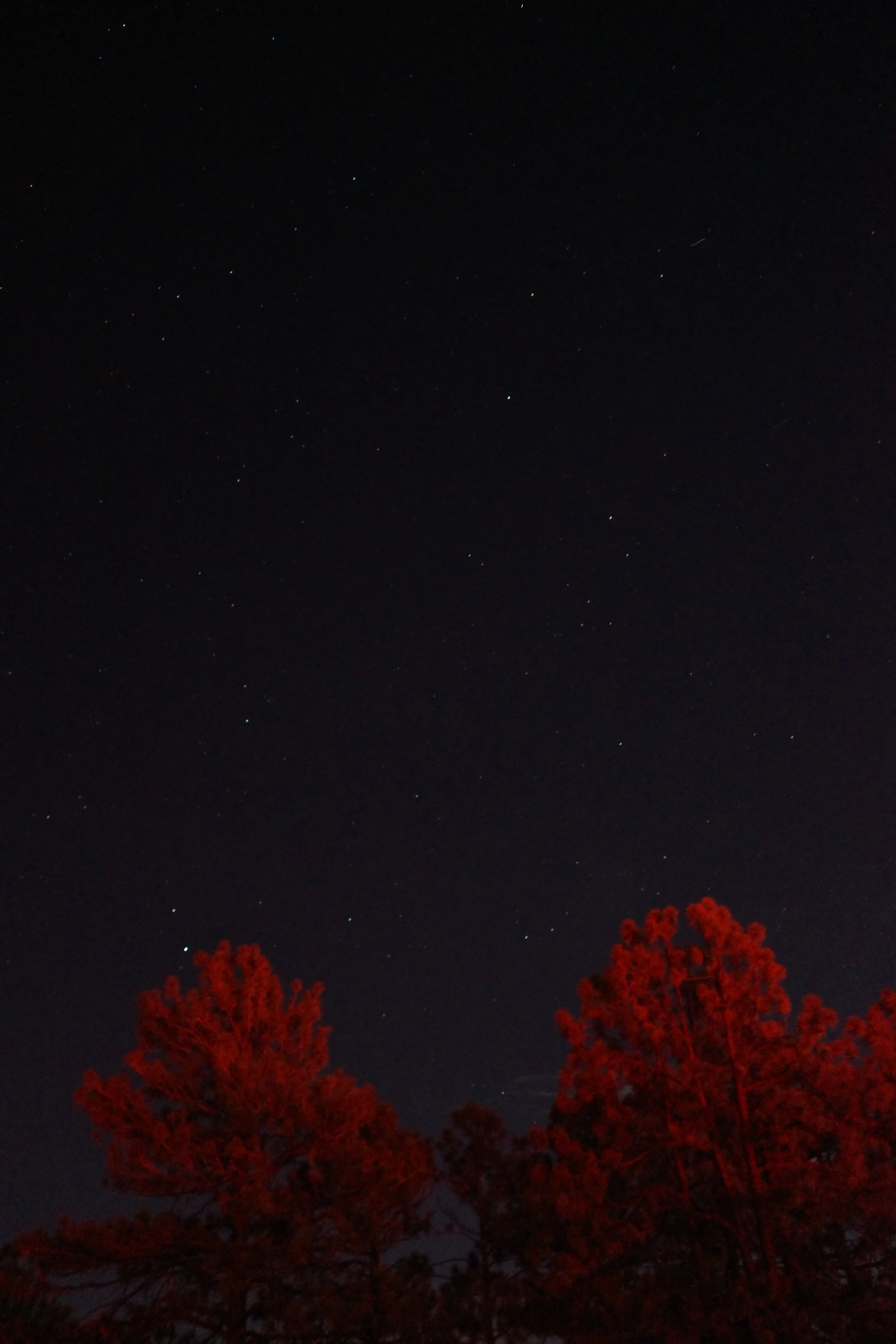R0016337.JPG