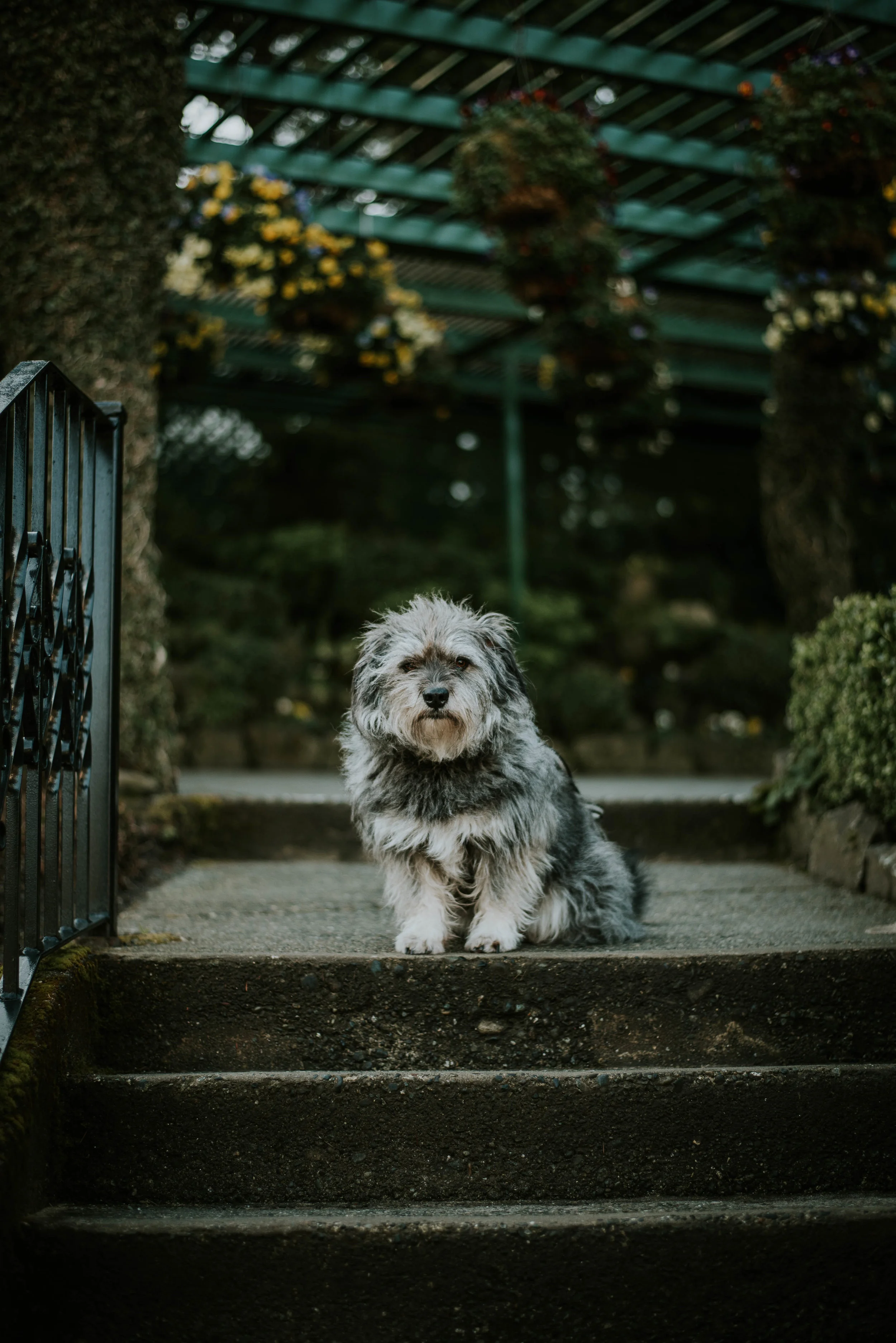 I'll sit here nicely because you have treats and keep telling me that I'm a handsome good boy.