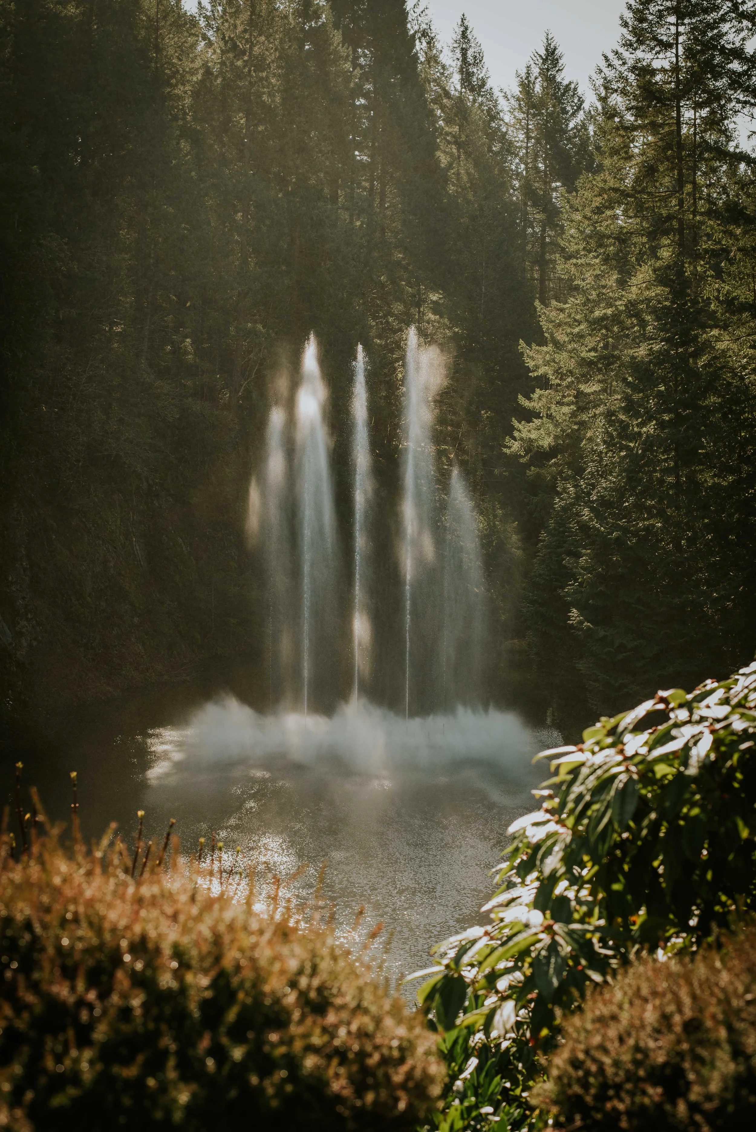 The beautiful fountain.