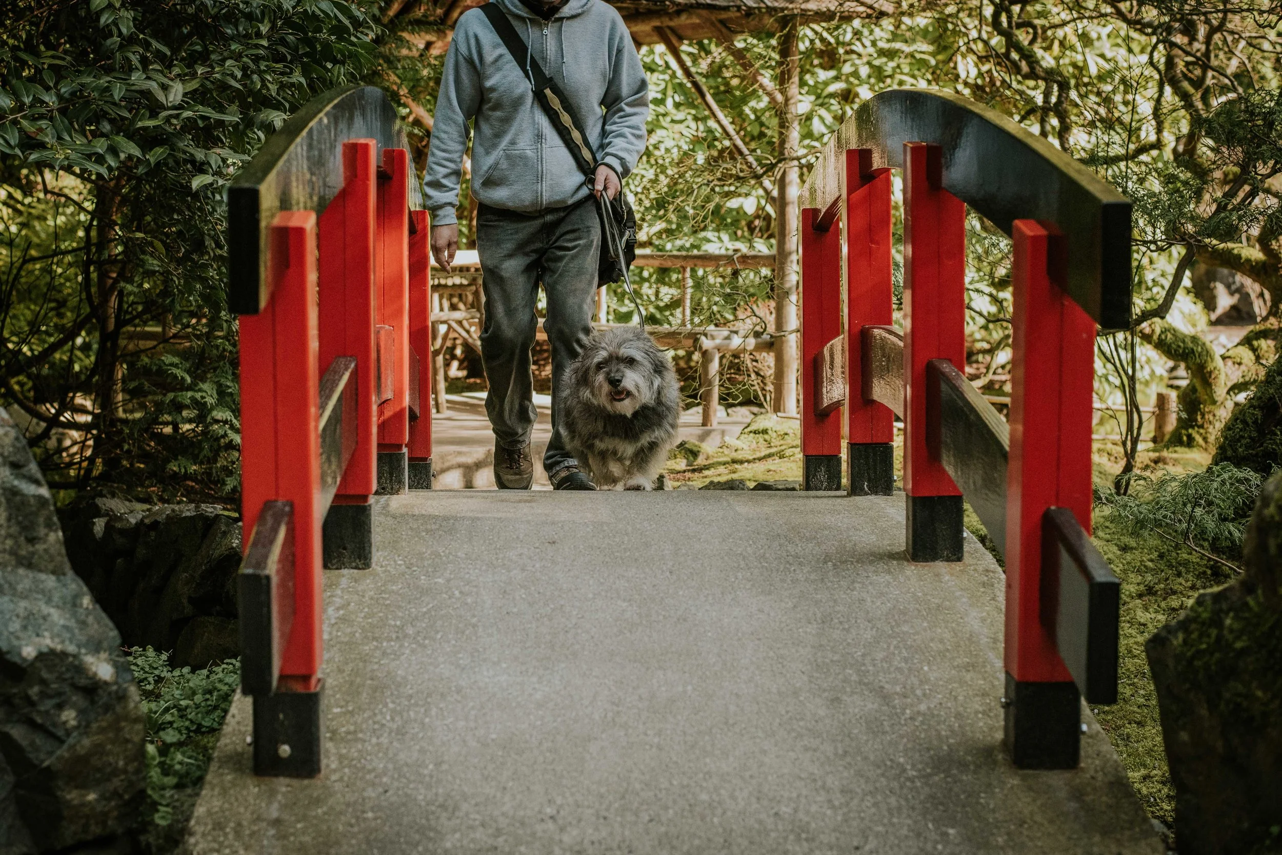 I like the bridges in the Japanese Gardens. They are so pretty.