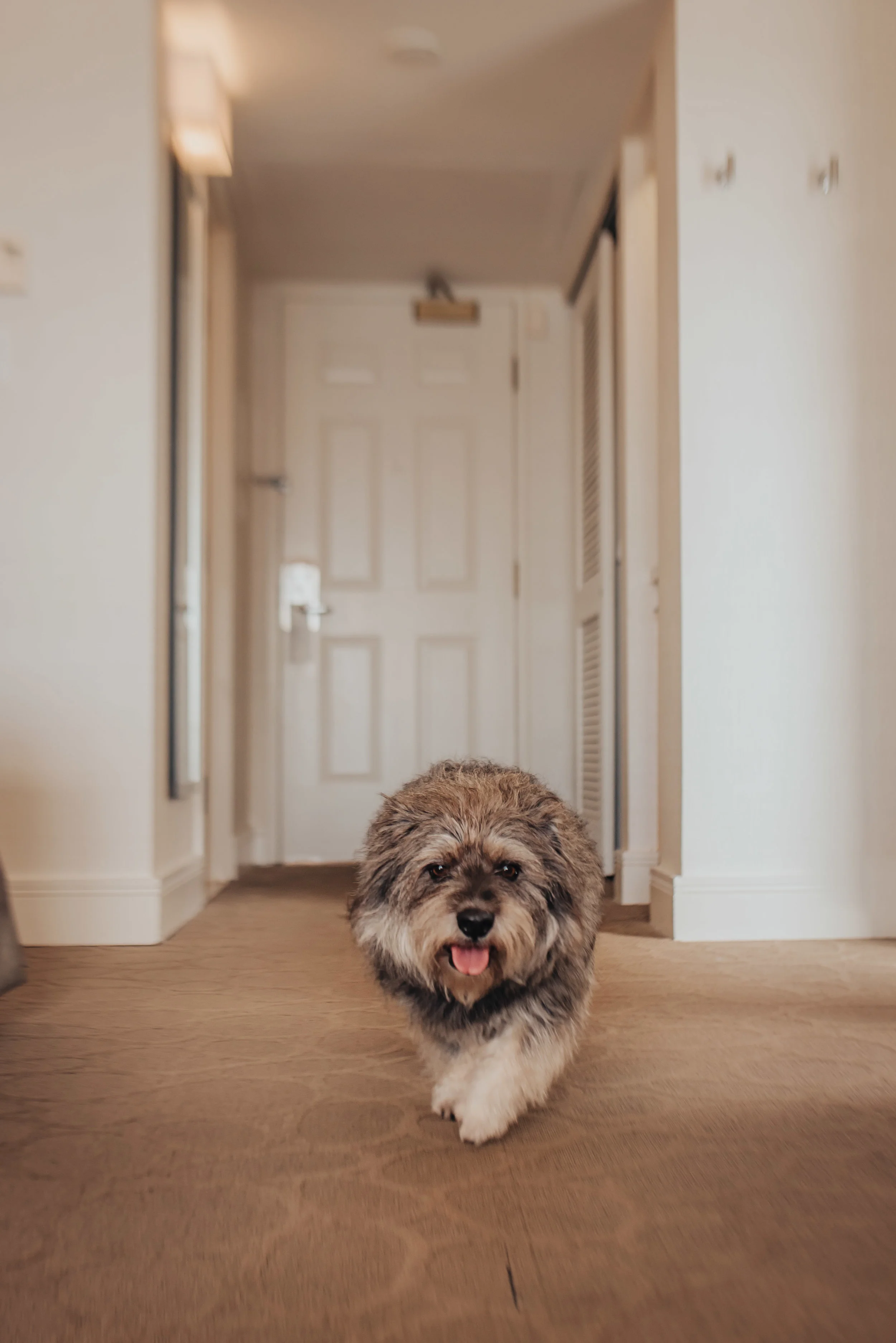 Let me check this room out! 