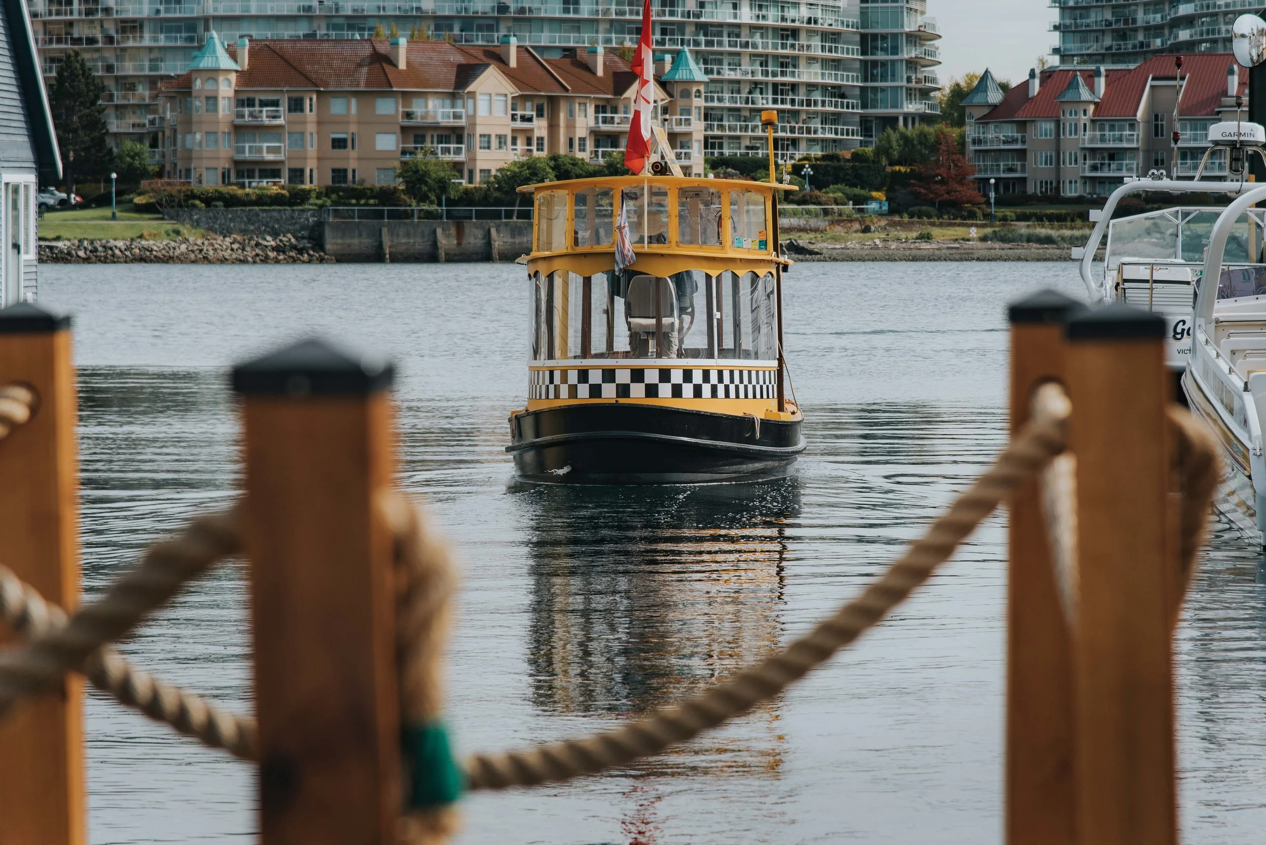 DSC_7238.jpg