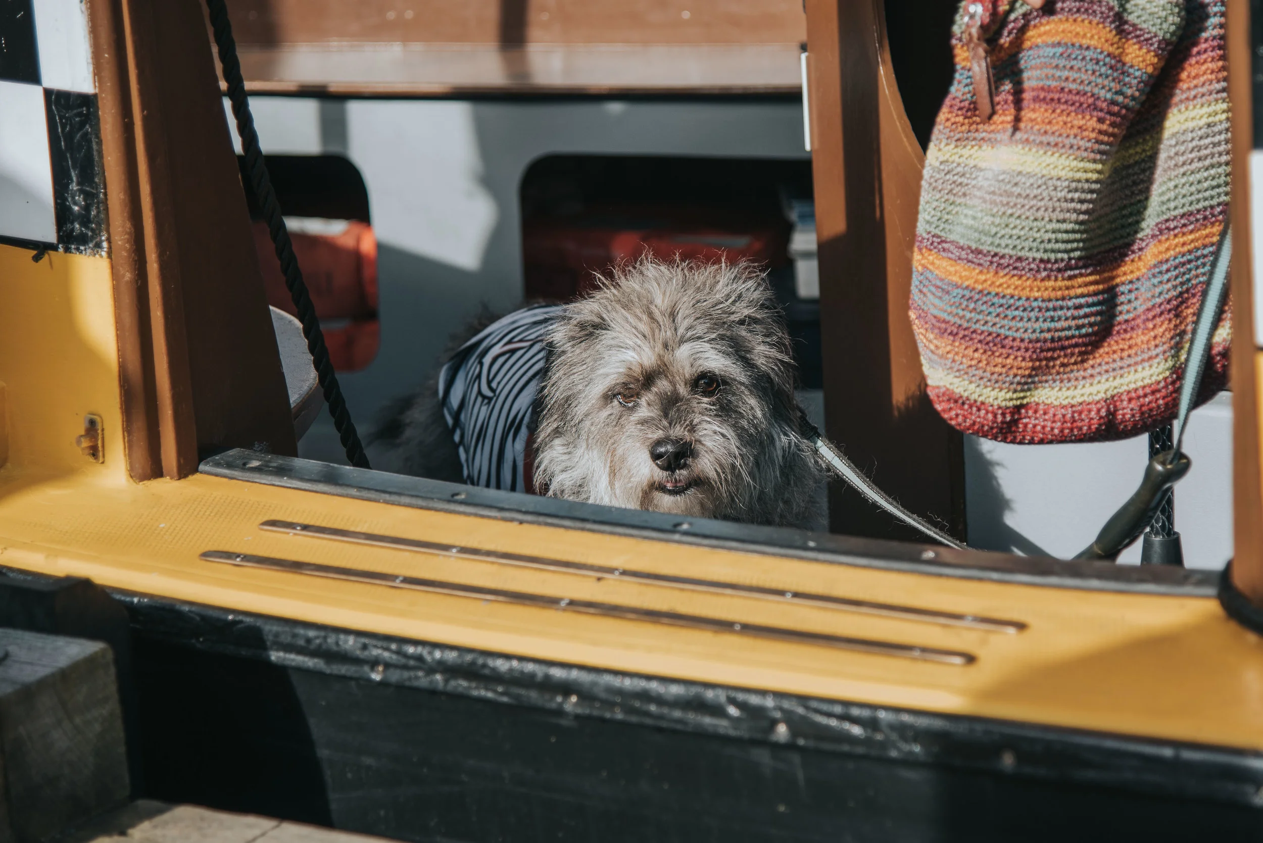 Hurry up! Let’s go for a ride!
