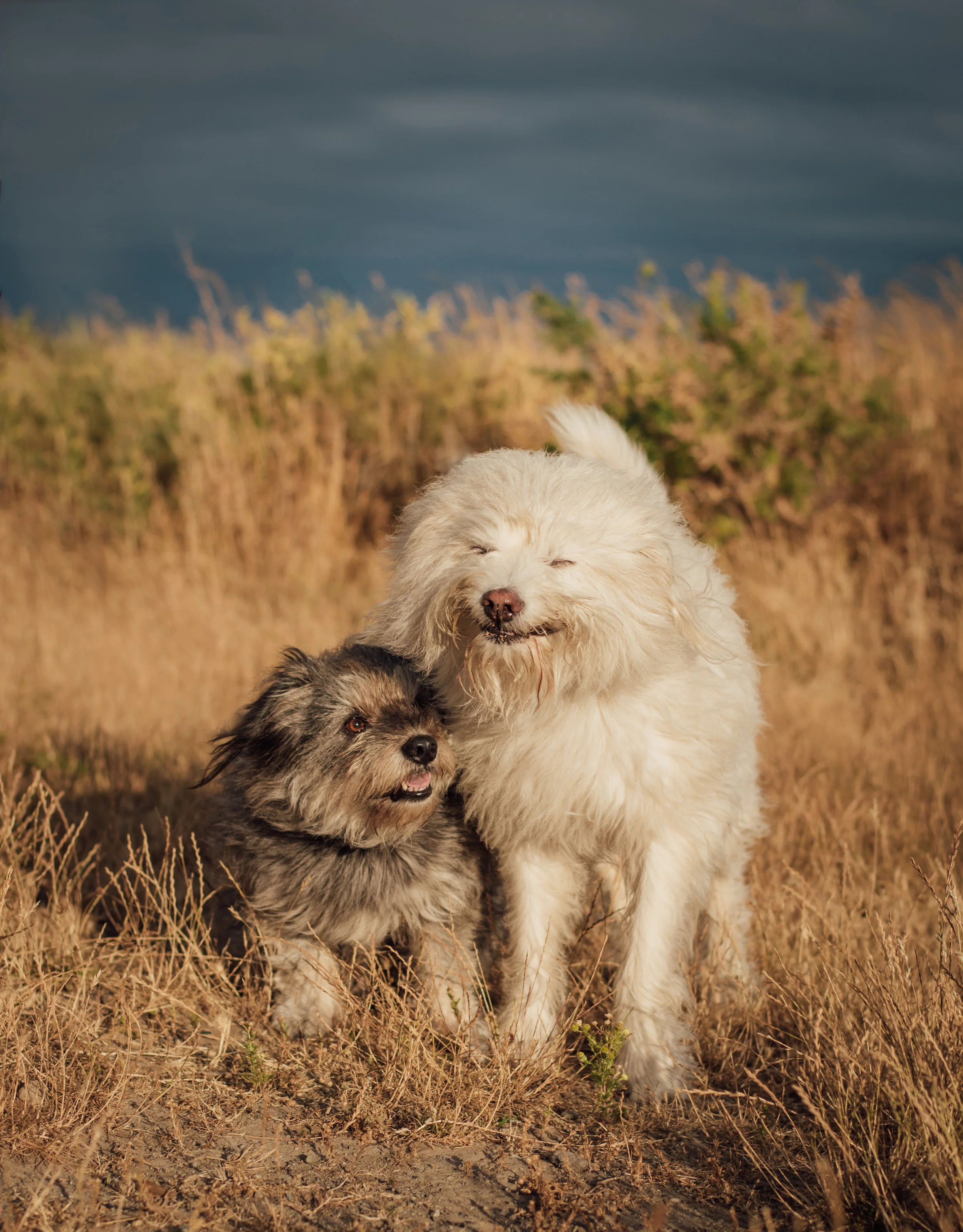 DSC_4537-Edit.jpg