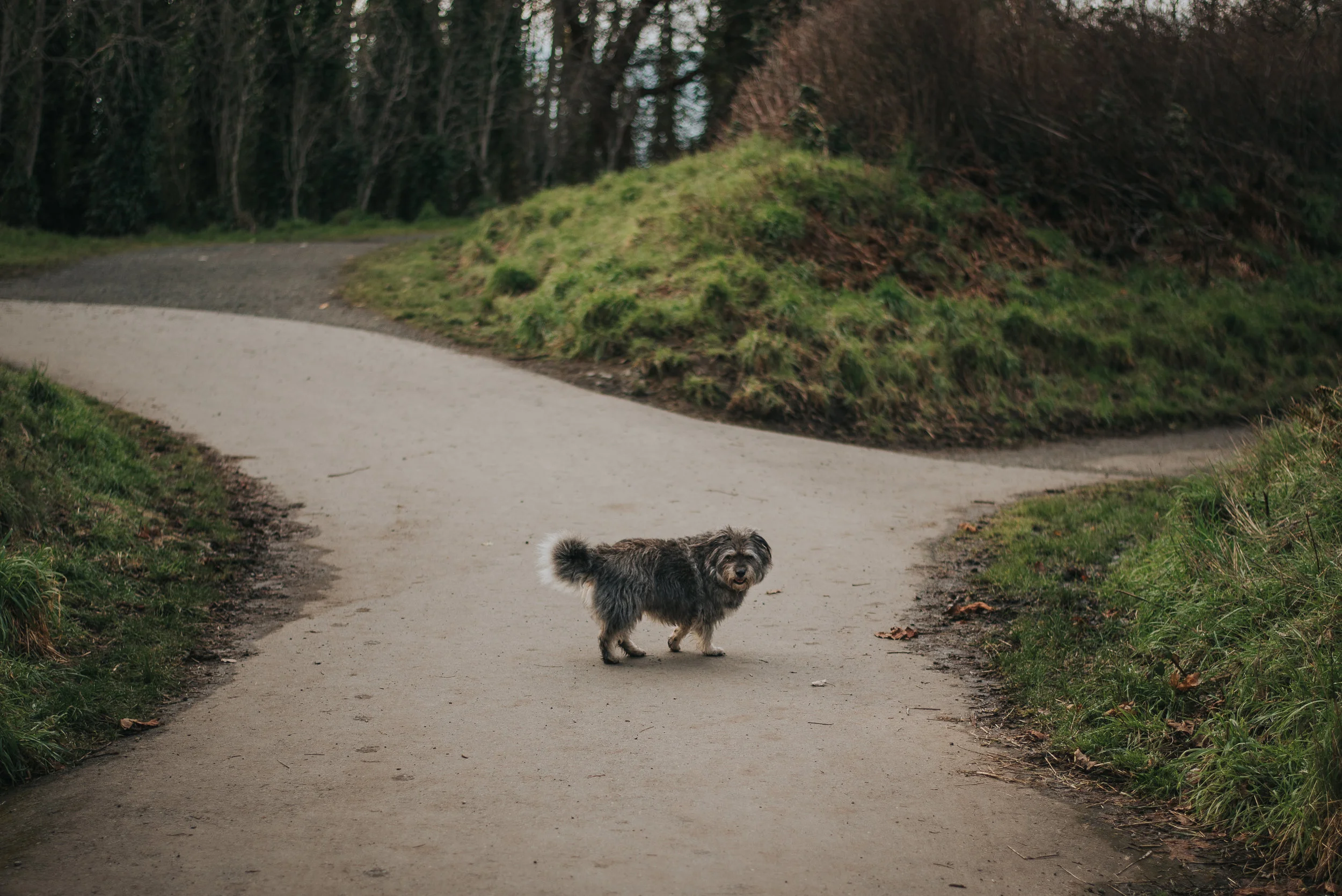 rupert park.jpg