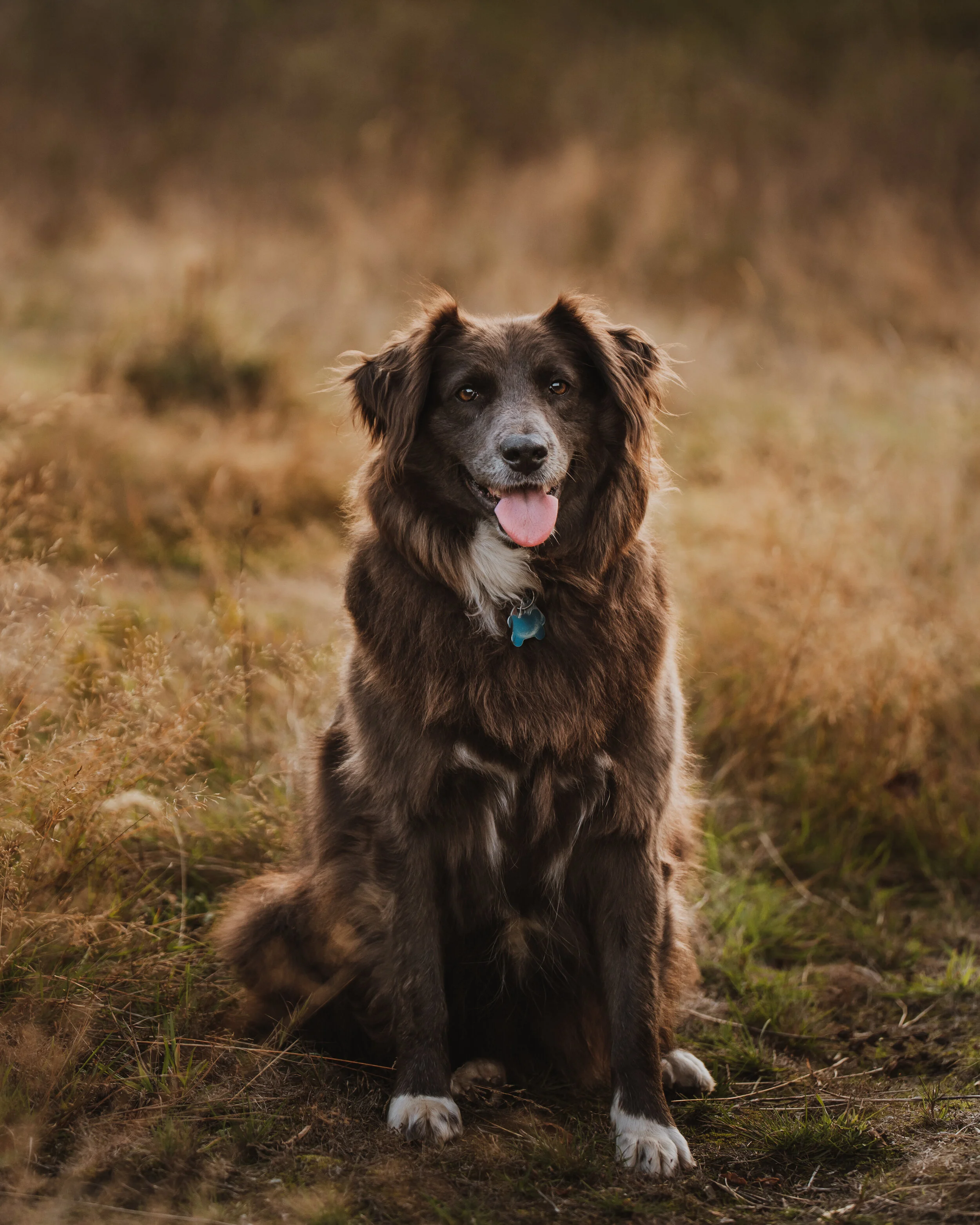 DSC_1352-Edit-Edit.JPG