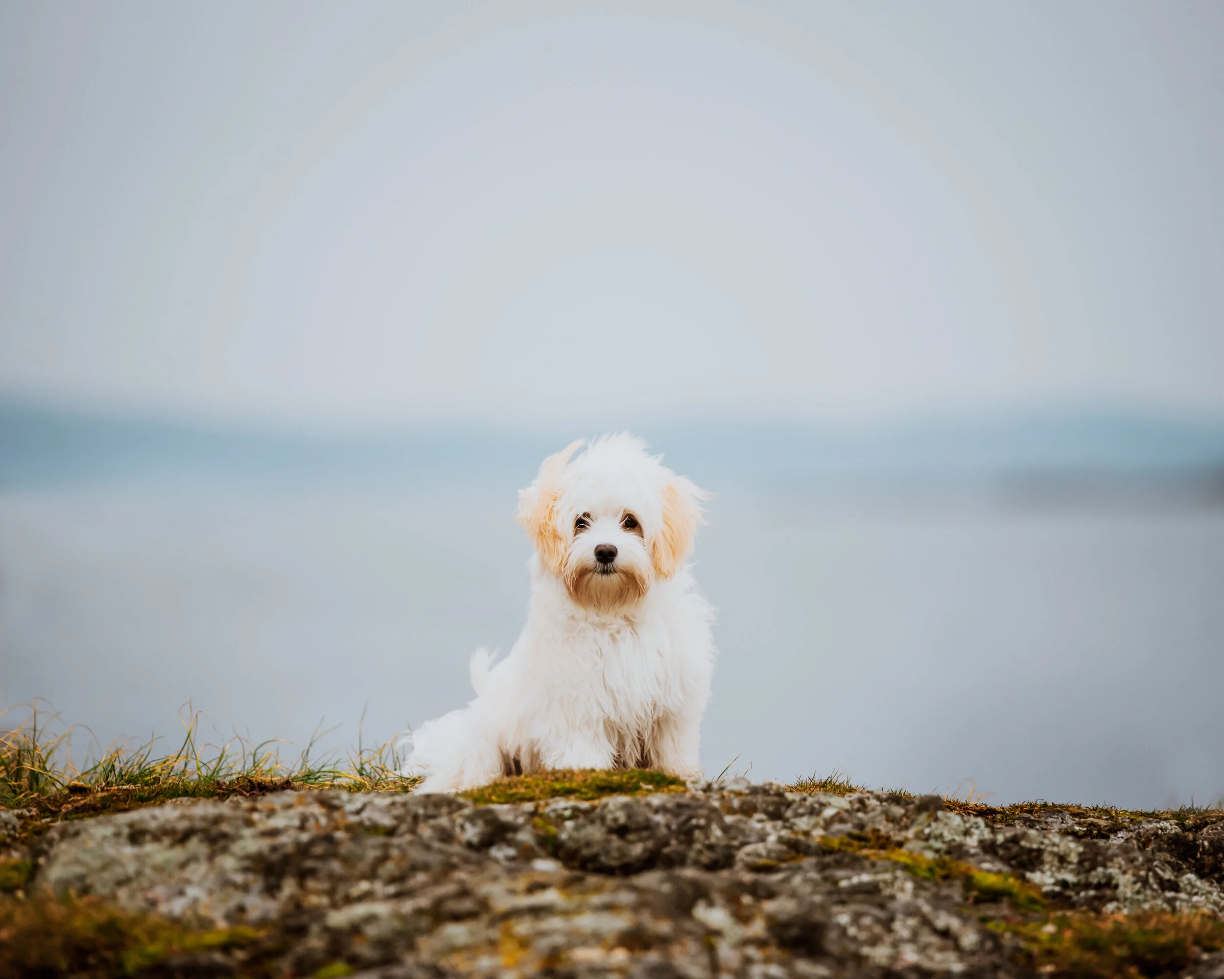 DSC_4016-Edit.JPG