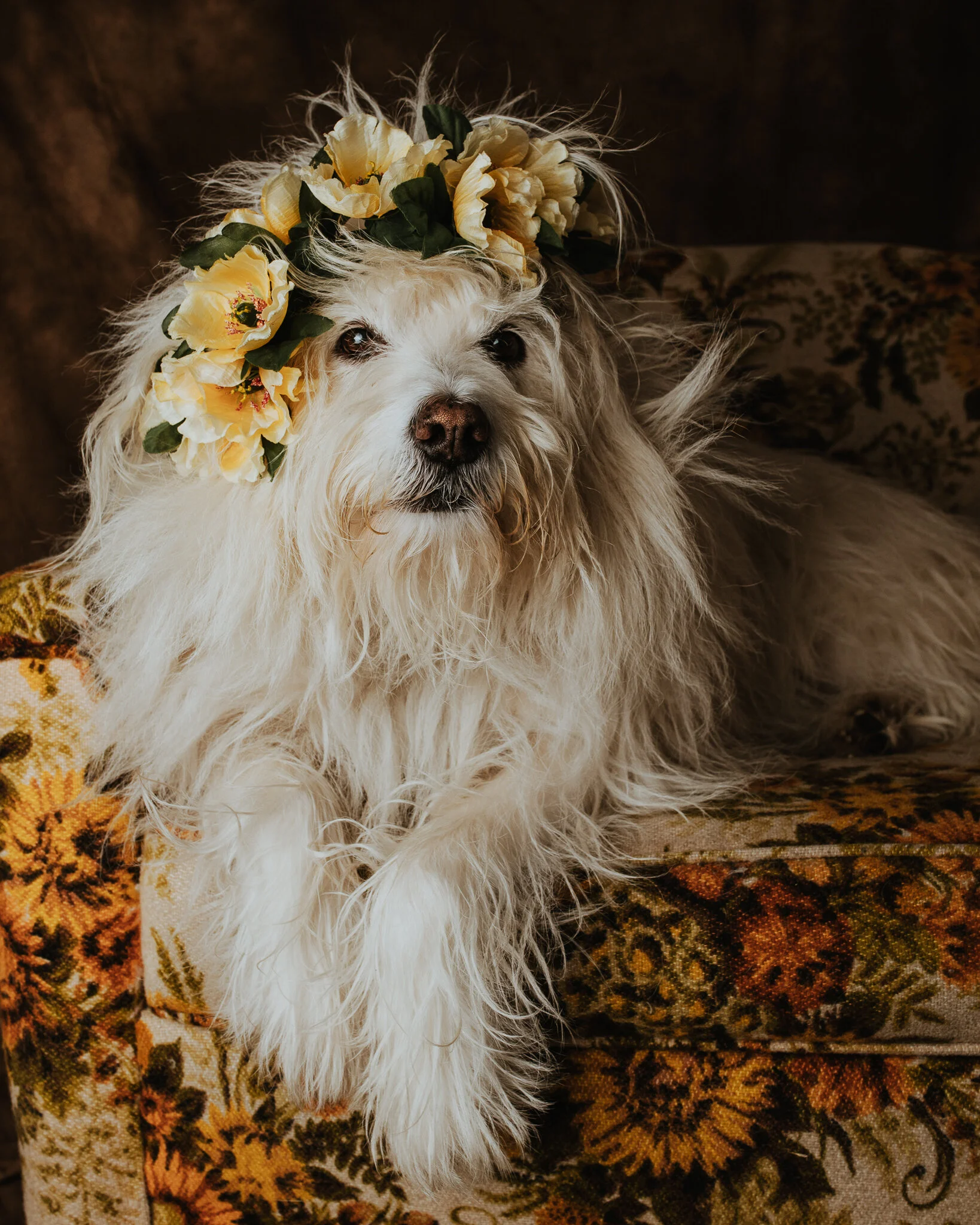 Walter flower crown.JPG