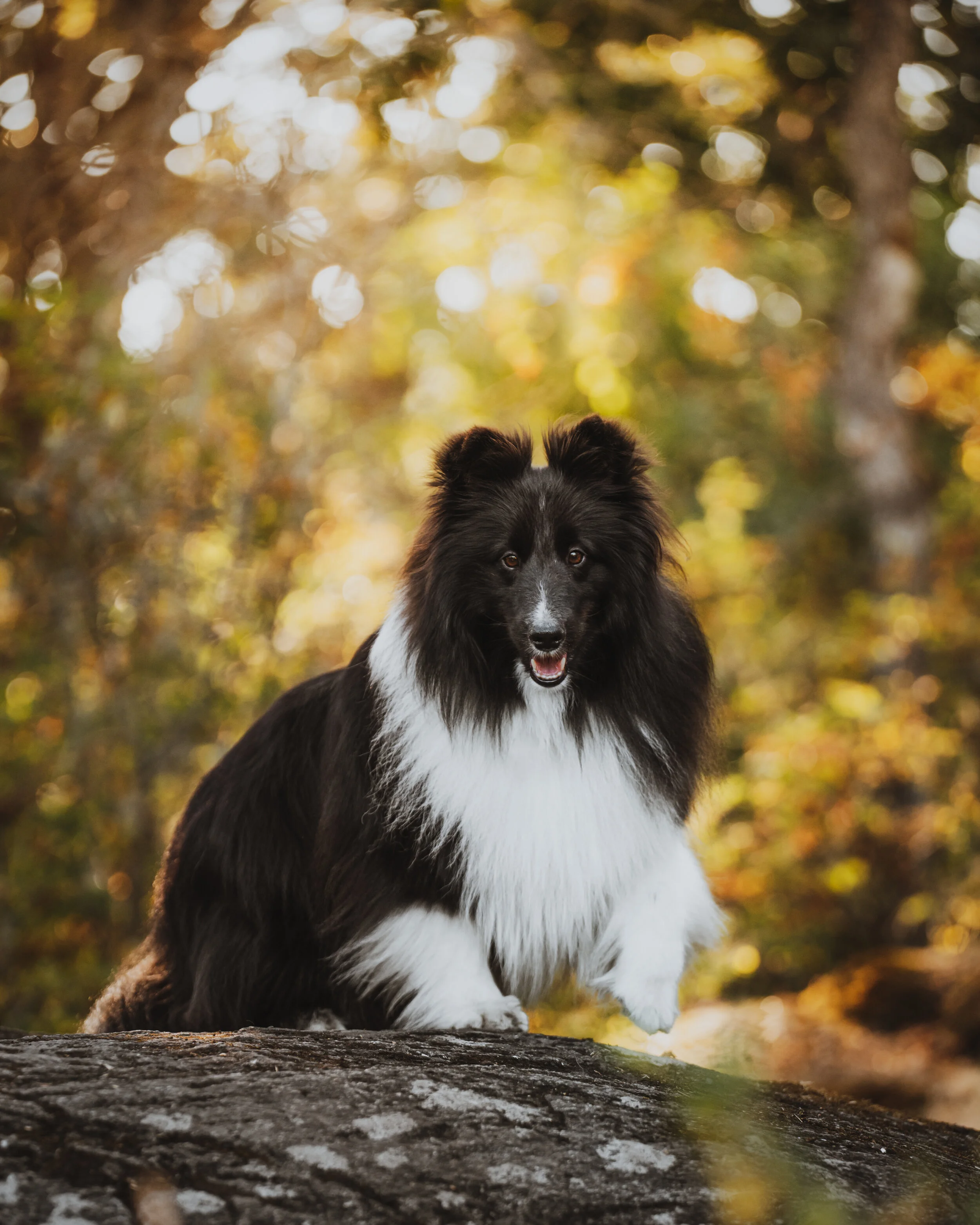 DSC_1177-Edit.JPG
