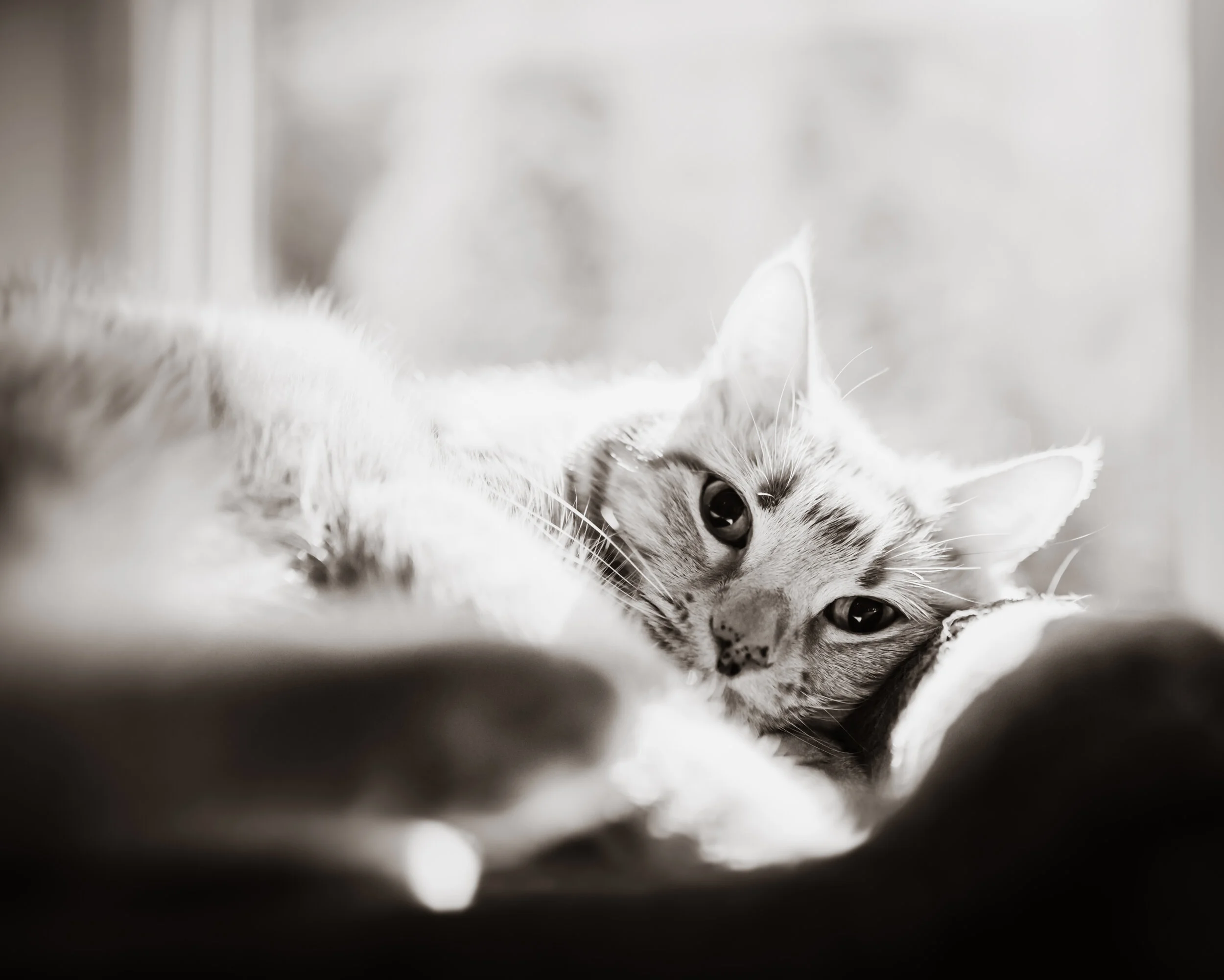 DSC_6207-Edit-2.JPG