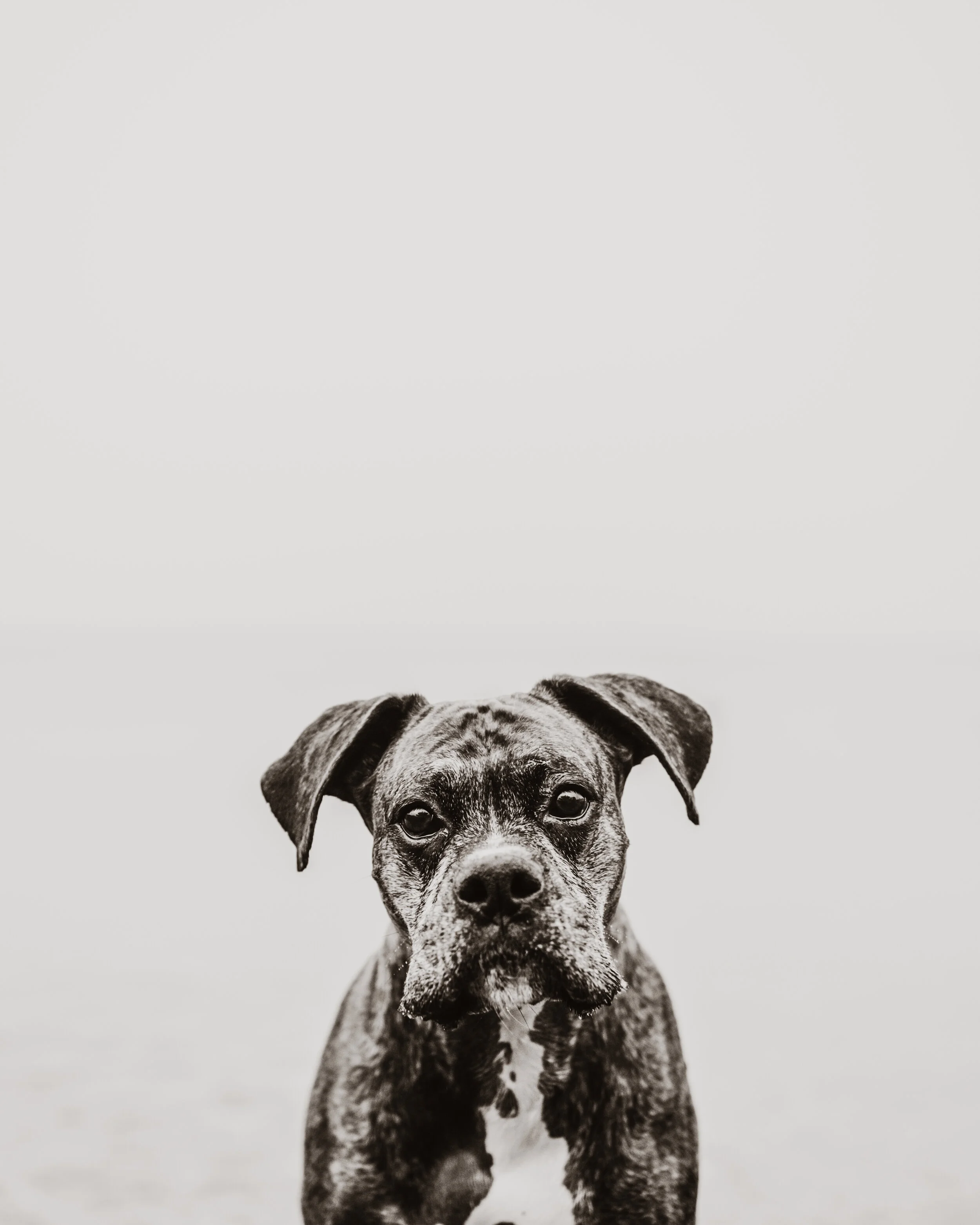 DSC_9933-Edit-2.JPG