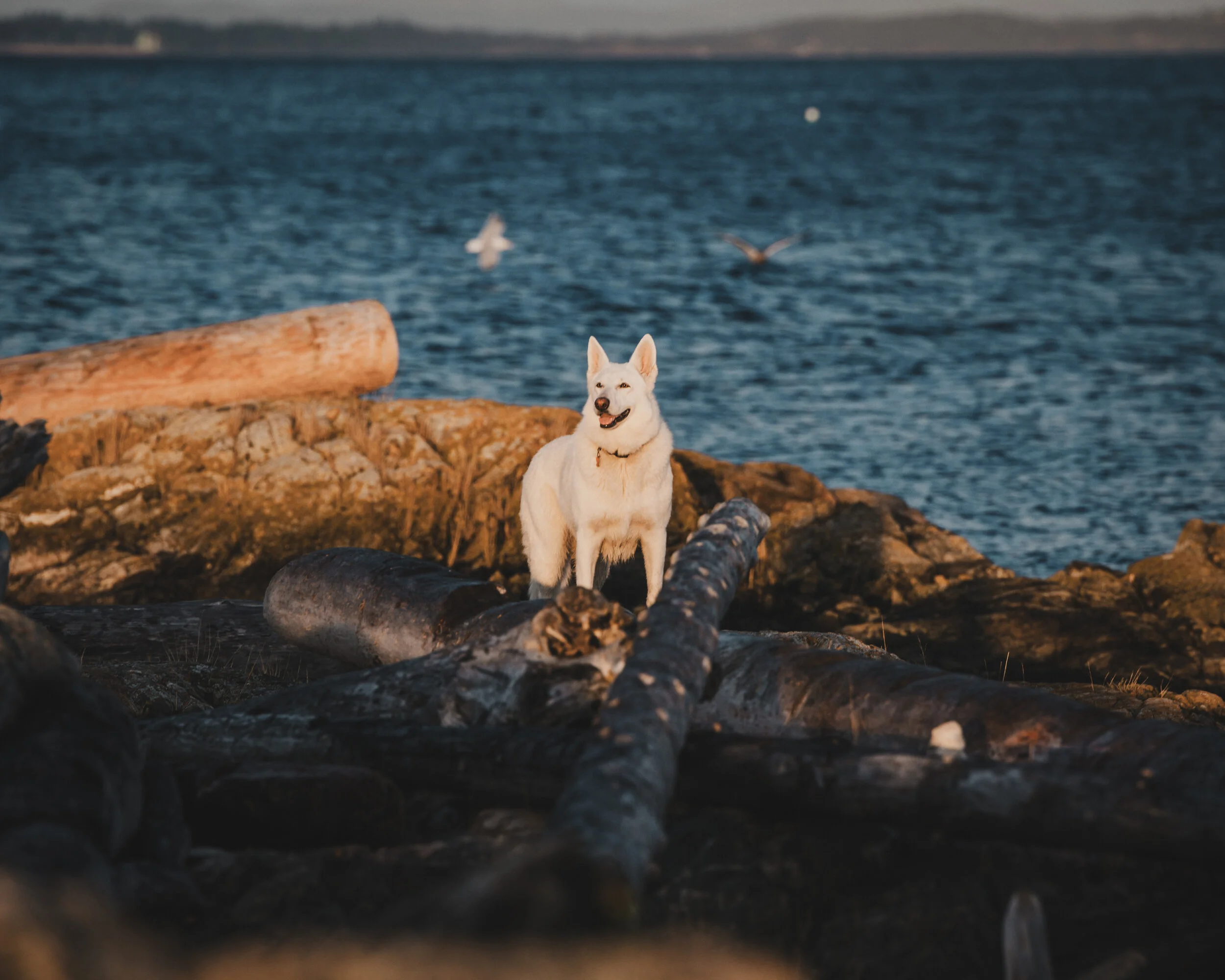 DSC_4883-Edit.JPG