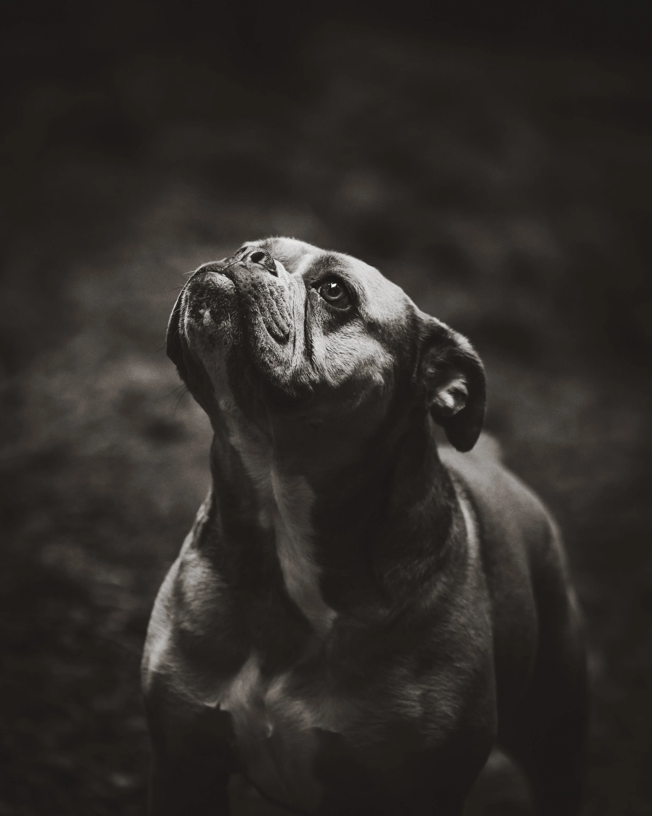 DSC_1619-Edit (2).JPG