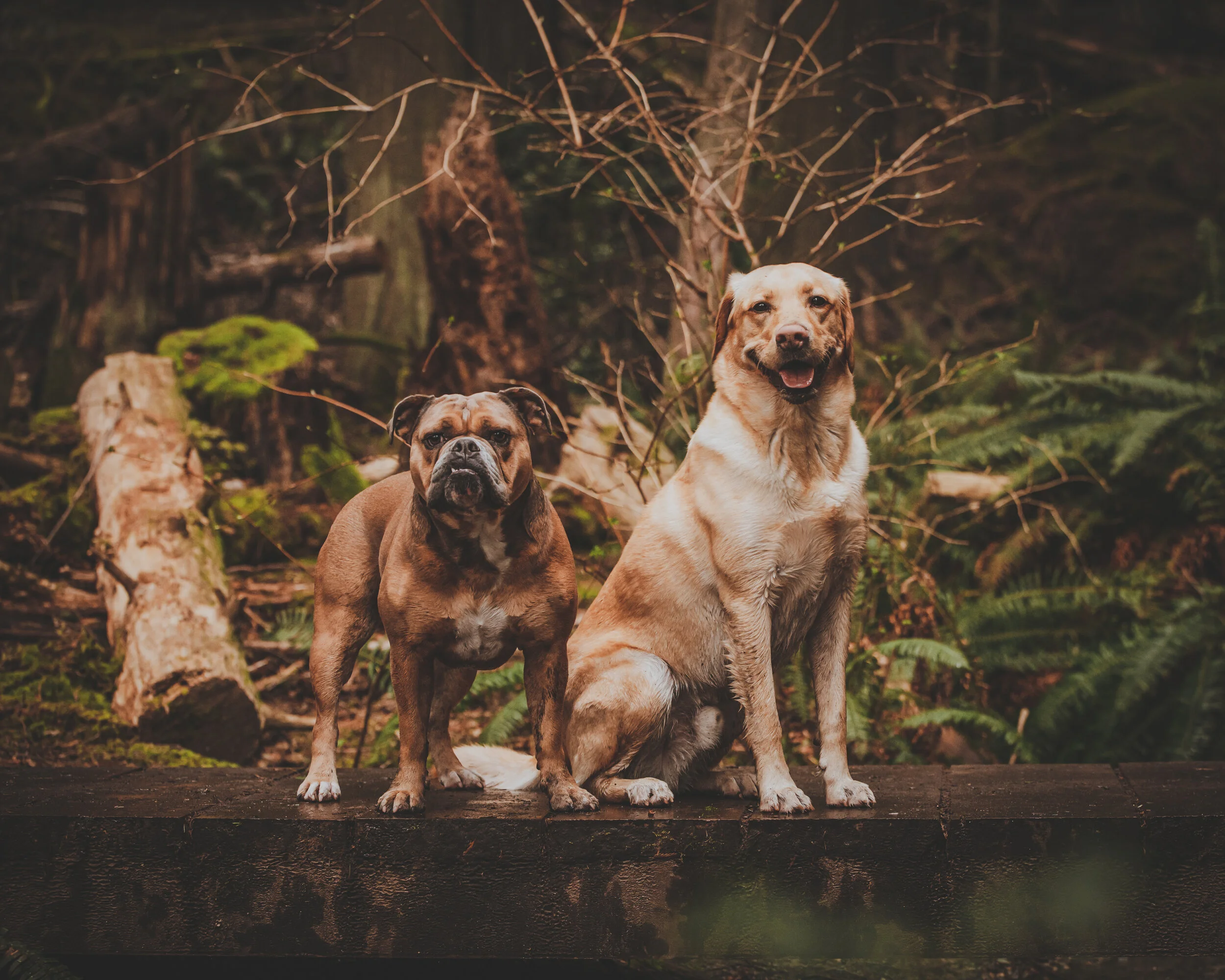 DSC_1823-Edit.JPG