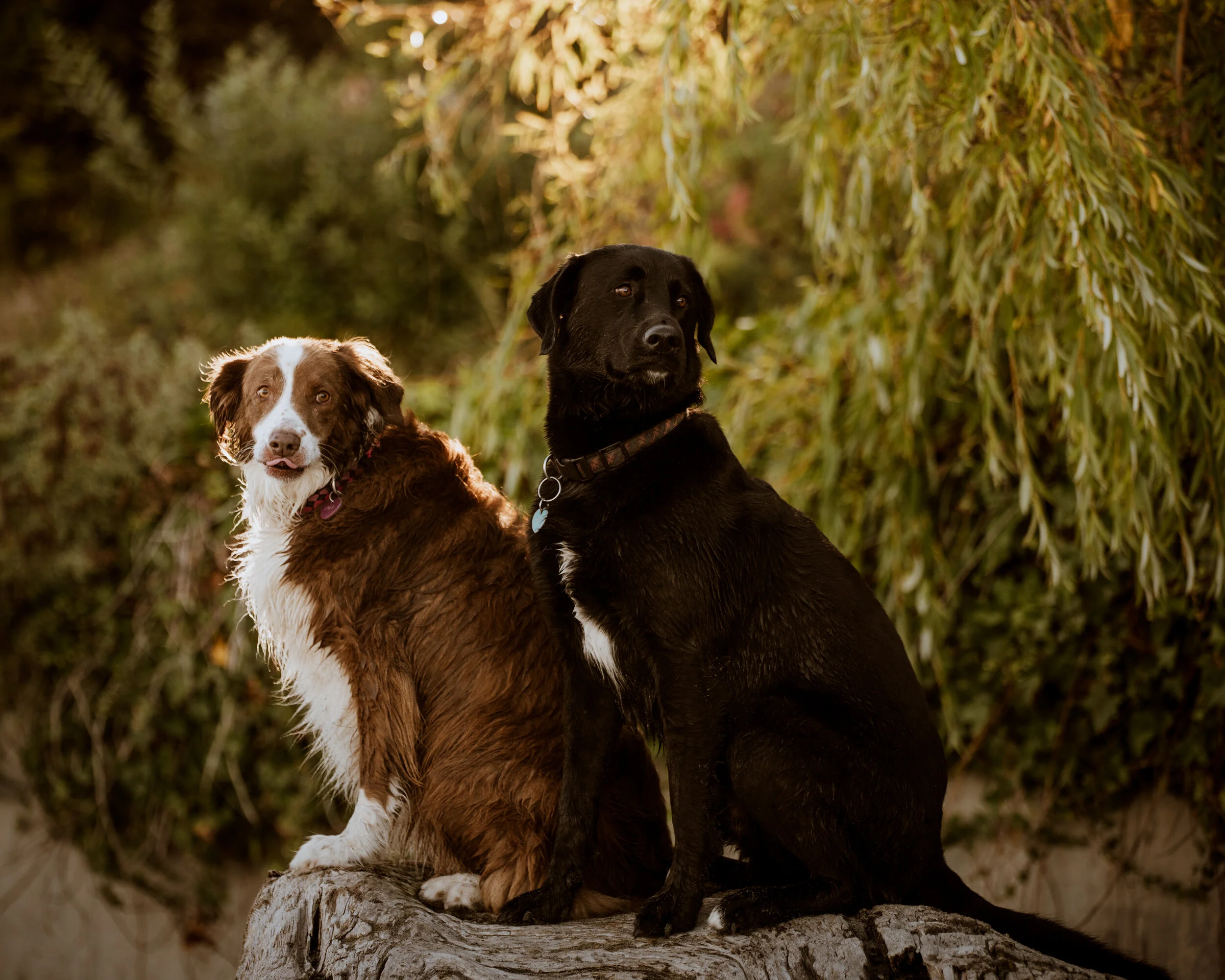 DSC_2518-Edit.JPG