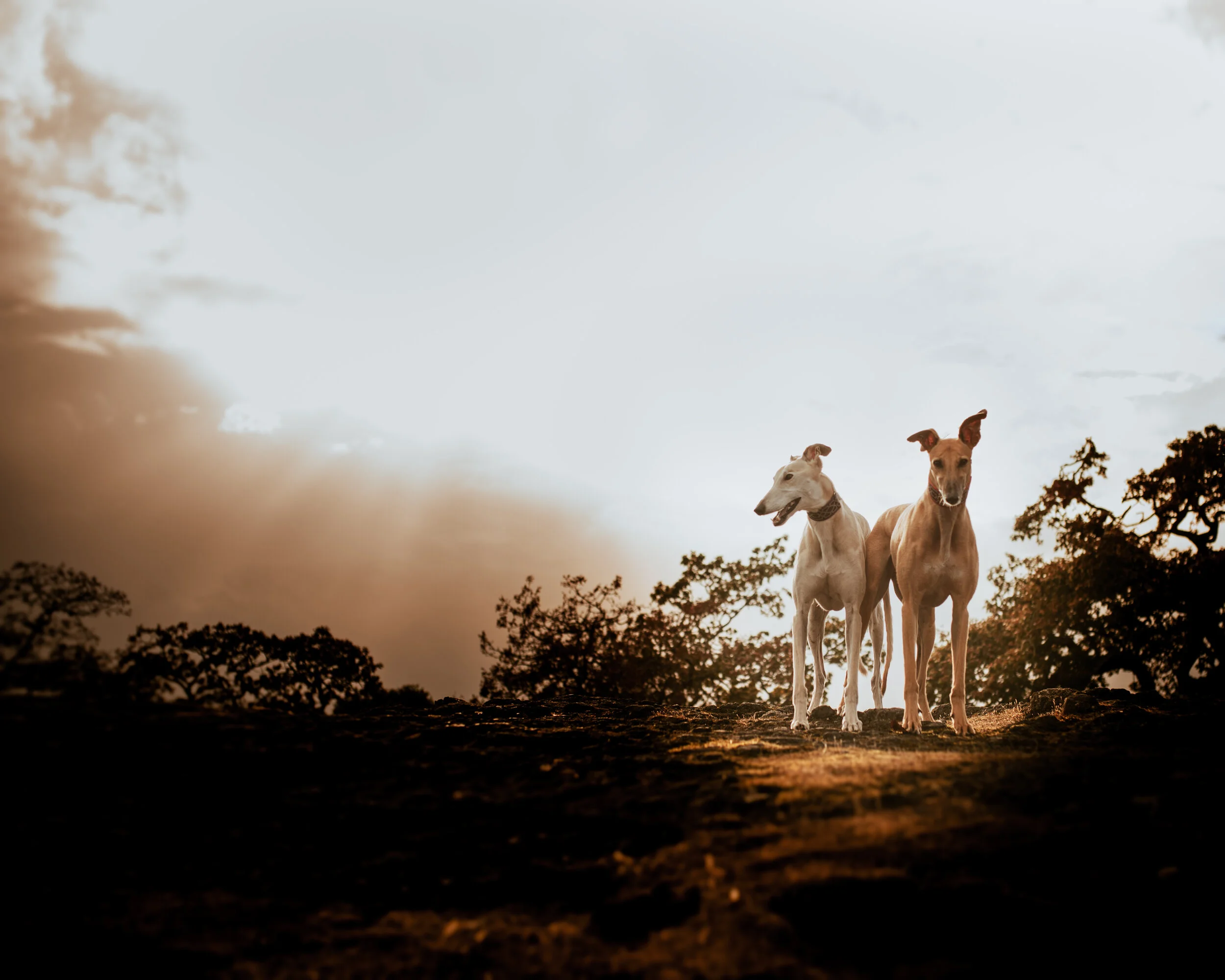 DSC_9265-Edit.JPG