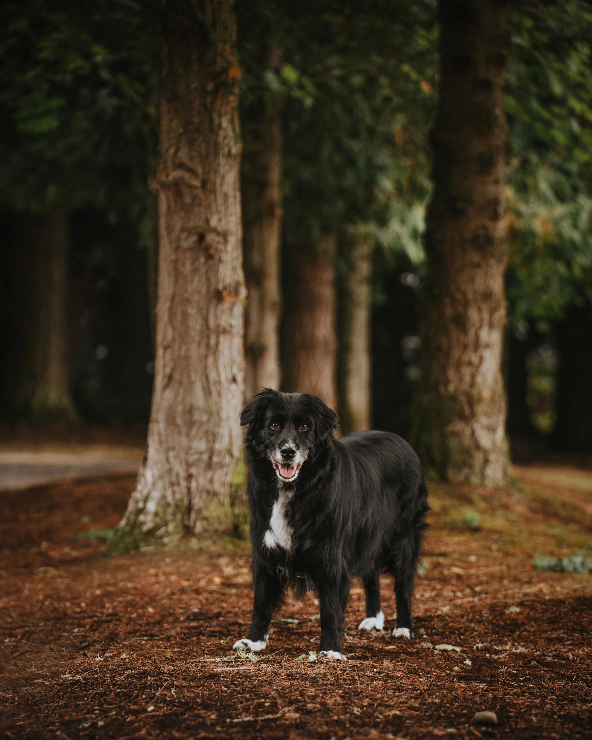 DSC_1181-Edit.JPG