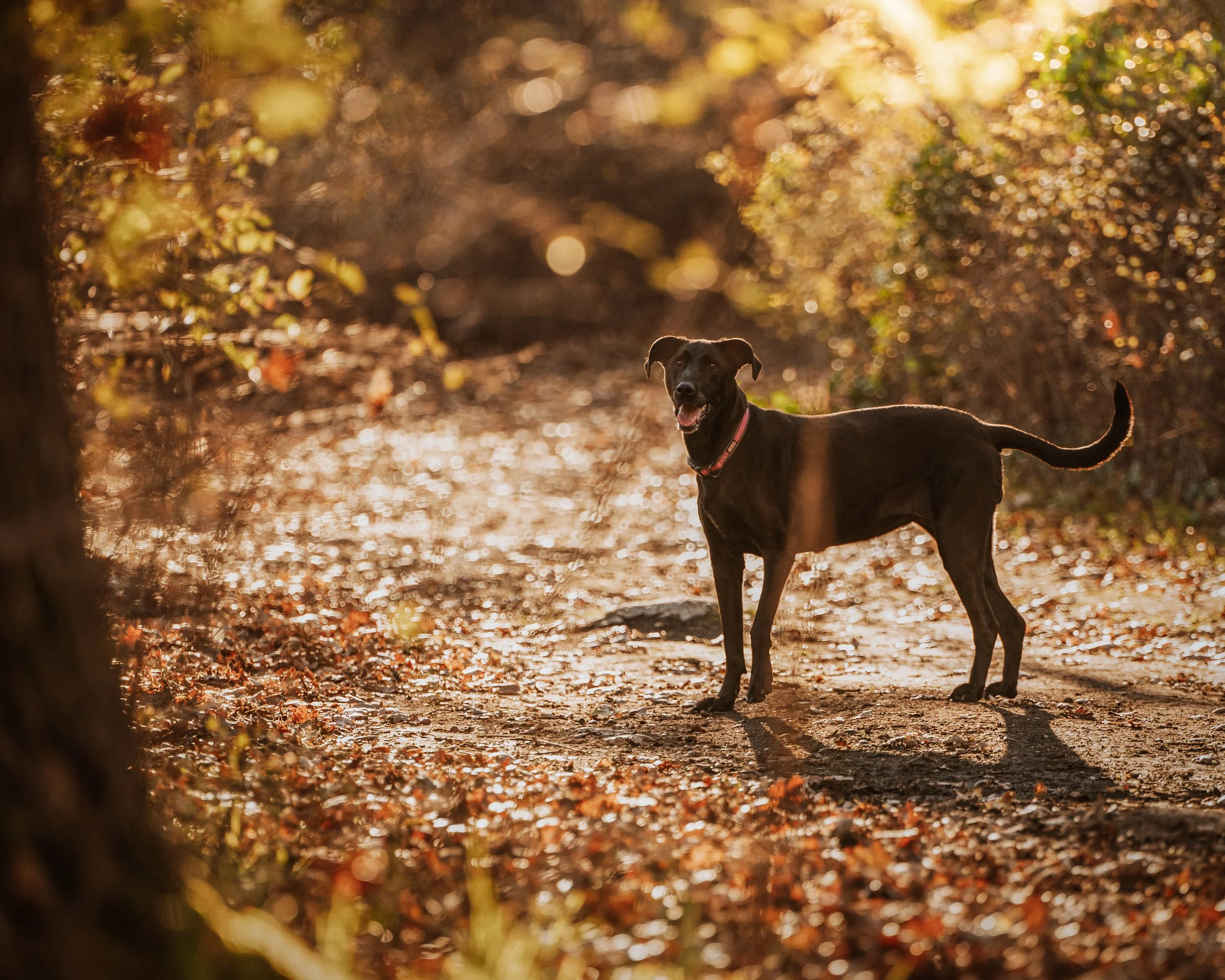 DSC_3106-Edit.JPG