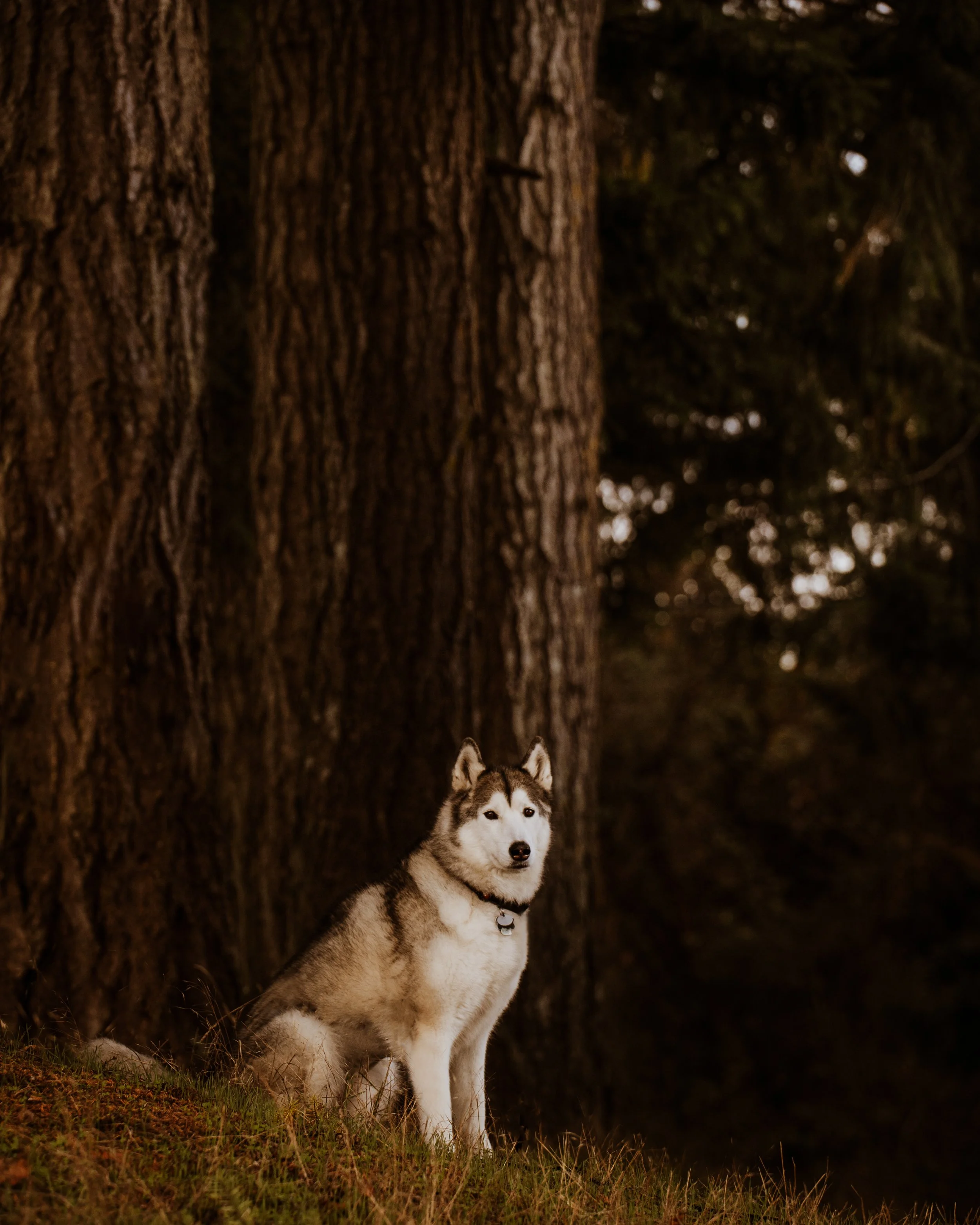 DSC_0873-Edit.JPG