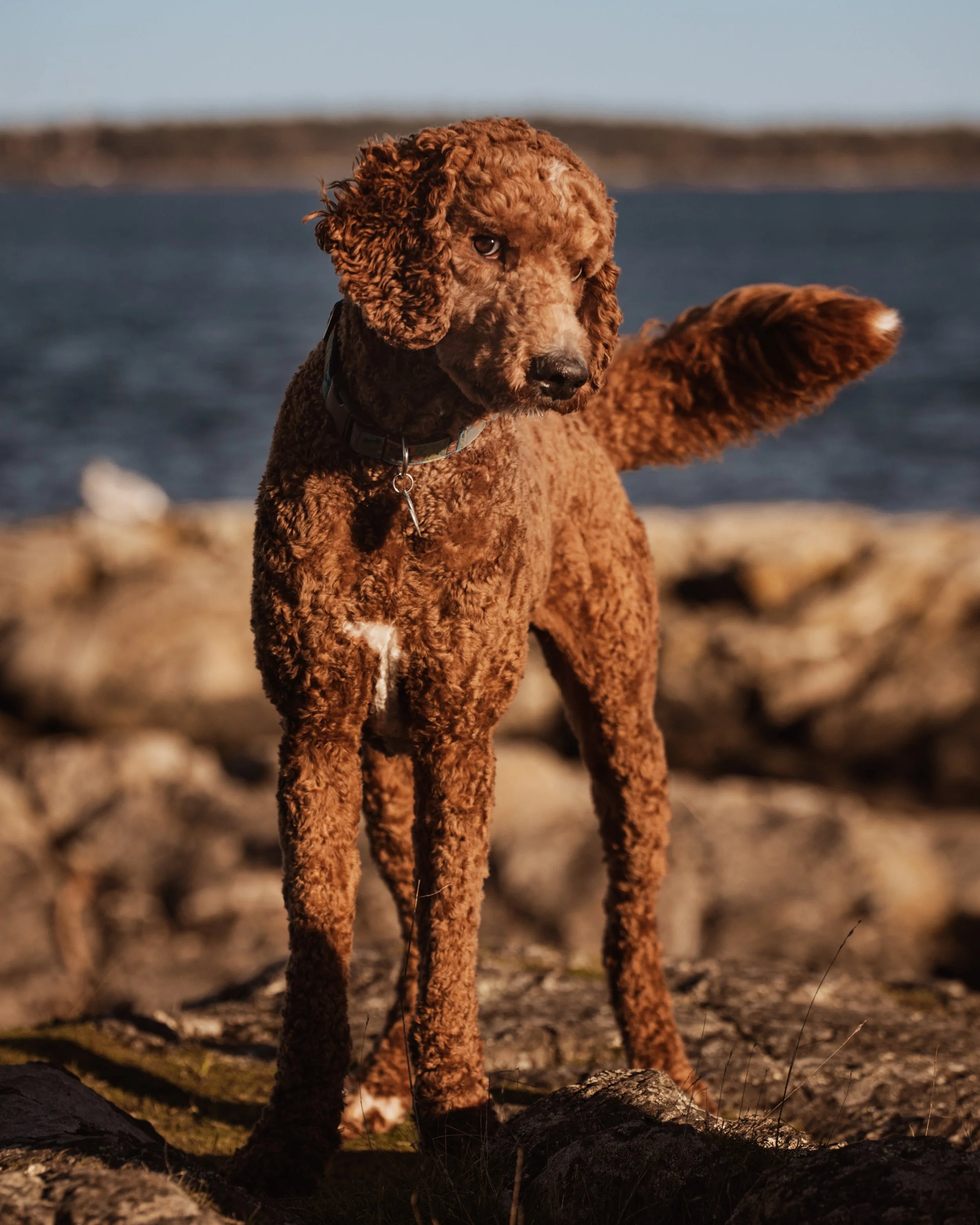 DSC_3473-Edit.JPG