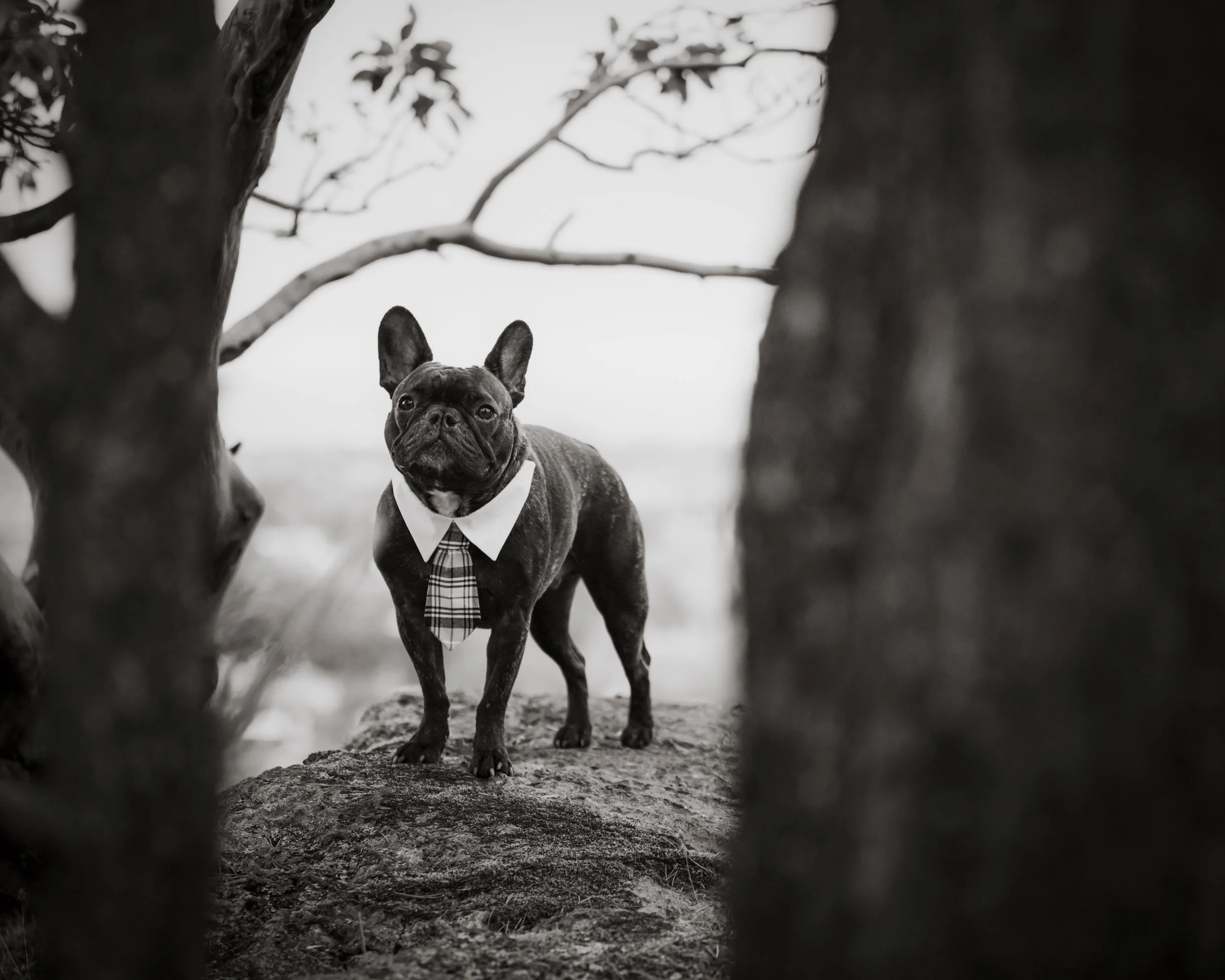 DSC_1615-Edit-3.JPG