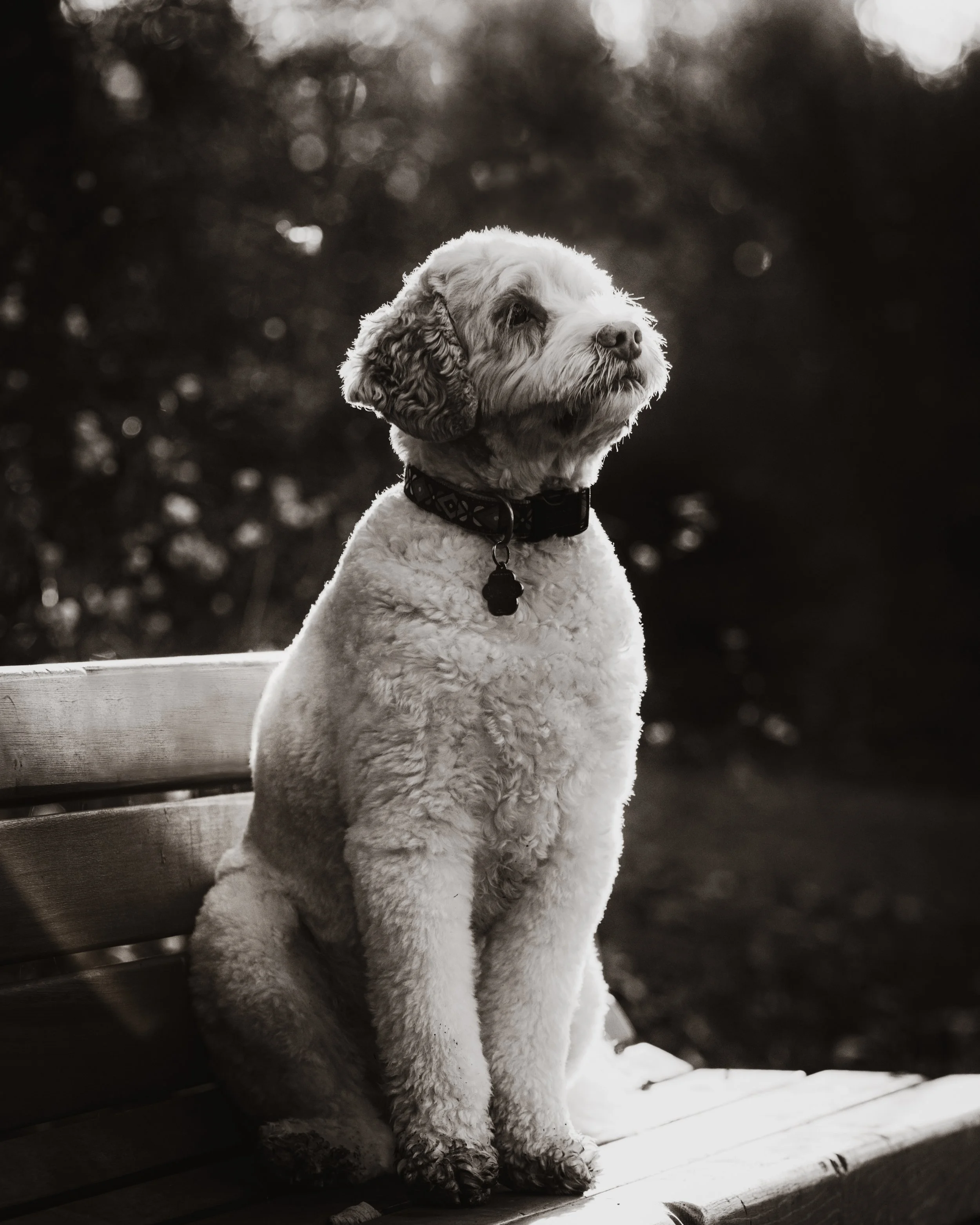 DSC_7277-Edit-2.JPG